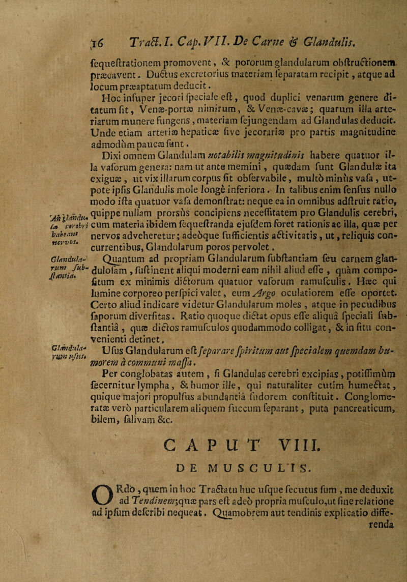 Ah gldndu» fa cerebri habeant nervos» Glandula¬ rum fub- Jiant i a* Glamdula- yim ufust 16 Traff.I. Cap.VIL De Carne & Glandulis. fequeftrationGin promovent, St pororum glandularum obflrudionetn. praecavent. Ductus excretorius materiam feparatam recipit, atque ad locum praeaptatum deducit. Hoc infuper jecori (peciale eft, quod duplici venarum genere di- tatumfit, Venae-portaa nimirum, & Venas-cavae; quarum illa arte¬ riarum munere fungens , materiam fejungendam ad Glandulasdeducit. Unde etiam arteriae hepaticae fi ve jecorariae pro partis magnitudine admodum paucae fiant. Dixi omnem Glandulam notabilis magnitudinis habere quatuor il¬ la vaforum genera: nam ut ante memini, quaedam funt Glandulae ita exiguae, ut vix illarum corpus fit obfervabile, multb minus vafa, ut- pote ipfis Glandulis mole longe inferiora . In talibus enim fenfus nullo modo ifia quatuor vafa demonftrat: neque ea in omnibus adfiruit ratio, quippe nullam prorsas concipiens neceflitatem pro Glandulis cerebri, cum materia ibidem fequeftranda ejufdem foret rationis ac illa, quae per nervos adveheretur; adebque fufficientis adivitatis 9 ut, reliquis con¬ currentibus, Glandularum poros pervolet. Quantum ad propriam Glandularum fubftantiam feu carnem glan- dulofam , fiuftinent aliqui moderni eam nihil aliud e(Te , quam compo- fitum ex minimis dirorum quatuor vaforum ramufculis. Hnsc qui lumine corporeo perfpici valet, eum Argo oculatiorem efie oportet. Certo aliud indicare videtur Glandularum moles , atque in pecudibus faporum diverfitas. Ratio quoque didat opus ede aliqua fpeciaii fub- ftantia , quas didos ramufculos quodammodo colligat, St in fitu con¬ venienti detinet, Ufus Glandularum edfeparare fpfritzm aut fpecialem quemdam hu¬ morem h communi maffa, Per conglobatas autem , fi Glandulas cerebri excipias, potifiimum fecernitur lympha, & humor ille, qui naturaliter cutim humedat, quique majori propulfus abundantia ludorem conftituit. Conglome¬ ratae vero particularem aliquem fuccum feparant , puta pancreaticum, bilem, falivam&c. C APU T VIII. DE MUSCULIS. ORdb, quem in hoc Tradatu huc ufque fecutus fum , me deduxit ad Tendinem;quas pars eft adeo propria mufculo,ut fine relatione ad ipfum defcribi nequeat. Quarnobrem aut tendinis explicatio diffe¬ renda