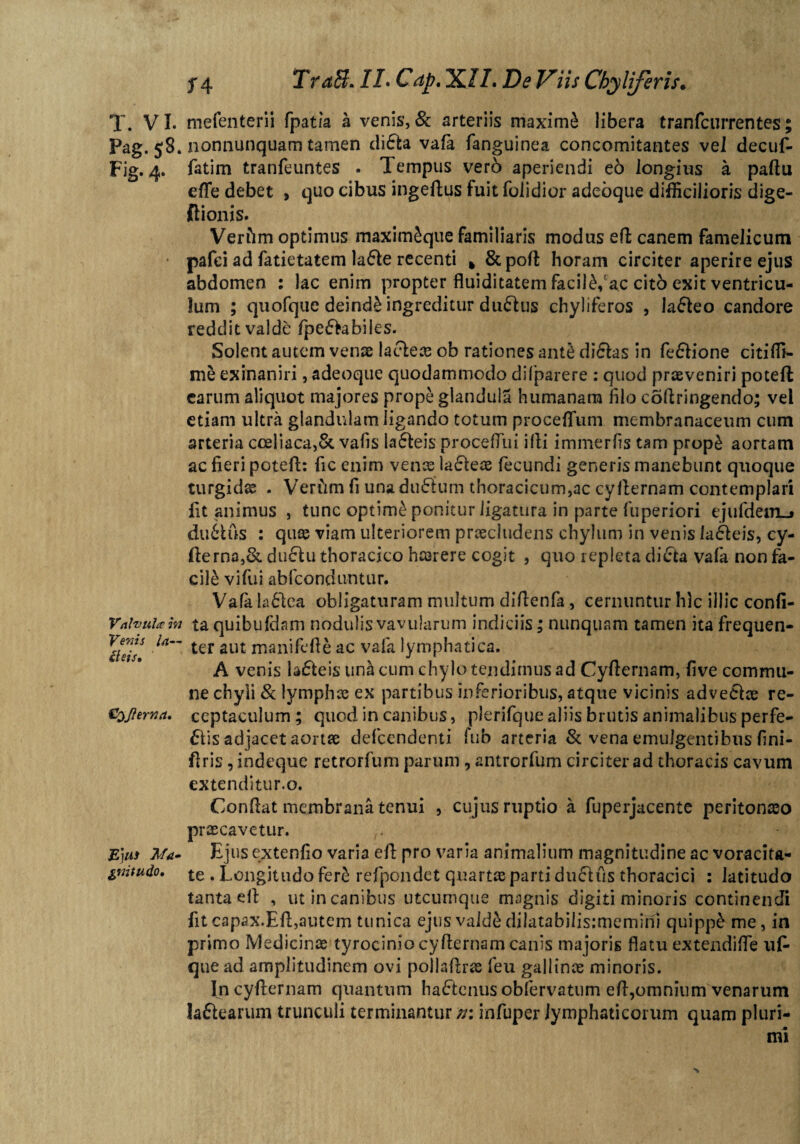 T. VI. mefenterii fpatia a venis, & arteriis maximi libera tranfcurrentes; Pag.58. nonnunquam tamen di£fca vafa fanguinea concomitantes vel decuf- Fig. 4. fatim tranfeuntes . 1 empus verb aperiendi eo longius a pafiu eflfe debet 9 quo cibus ingeftus fuit folidior adeoque difficilioris dige- ftionis. Verfim optimus maximSque familiaris modus eft canem famelicum pafei ad fatietatem la6le recenti h &pofi horam circiter aperire ejus abdomen : lac enim propter fluiditatem facili,Cac citb exit ventricu¬ lum ; quofque deinde ingreditur du6lus chyliferos , la&eo candore reddit valde fpe£tabiles. Solent autem venae lacleas ob rationes ant£ di&as in fe£lione citiffi- me exinaniri, adeoque quodammodo difparere : quod praeveniri potefl earum aliquot majores prope glandula humanam filo cofiringendo; vel etiam ultra glandulam ligando totum proceffum membranaceum cum arteria coeliaca,& vafis la61eis procefTiii illi immerfis tam prop£ aortam ac fieri potefi: fic enim venas la£leae fecundi generis manebunt quoque turgida . Verfim fi unaduflum thoracicum,ac cyllernam contemplari fit animus , tunc optimi ponitur ligatura in parte fuperiori ejufdem_» du6fcus : quae viam ulteriorem praecludens chylum in venis la£leis, cy- fterna,& duftu thoracico haerere cogit , quo repleta dicrta vafa non fa¬ cili vifui abfcondu-ntur. Vafa la£lea obligaturam multum difienfa , cernuntur hic illic confi- Vnhui*™ ta quibufdam nodulis vavularum indiciis; nunquam tamen ita frequen- Vezu ia— aut manjfefie ac vafa lymphatica. A venis lacteis unicum chylo tendimus ad Cyllernam, five commu¬ ne chyli & lymphae ex partibus inferioribus, atque vicinis advectae re- c$jitrna. ccptaculum ; quod in canibus, plerifque aliis brutis animalibus perfe¬ riis adjacet aortae defcendenti fub arteria & vena emulgentibus fini- firis ,indeque retrorfum parum , antrorfum circiter ad thoracis cavum extenditur, o. Confiat membrana tenui , cujus ruptio a fuperjacente peritonaeo praecavetur. Ejus Ma* Ejus extenfio varia efi pro varia animalium magnitudine ac voracita- gnitudo, te . Longitudo fere refpondet quartae parti duclus thoracici : latitudo tanta efi , ut in canibus utcumque magnis digiti minoris continendi fit capax.Eft,autem tunica ejus vald& dilatabilisimemirii quippe me, in primo Medicinae tyrocinio cyfternam canis majoris flatu extendifle ufi- que ad amplitudinem ovi pollaflras feu gallinae minoris. Incyfiernam quantum ha£tenusobfervatum efi,omnium venarum la&earum trunculi terminantur n\ infuper lymphaticorum quam pluri- jm mi