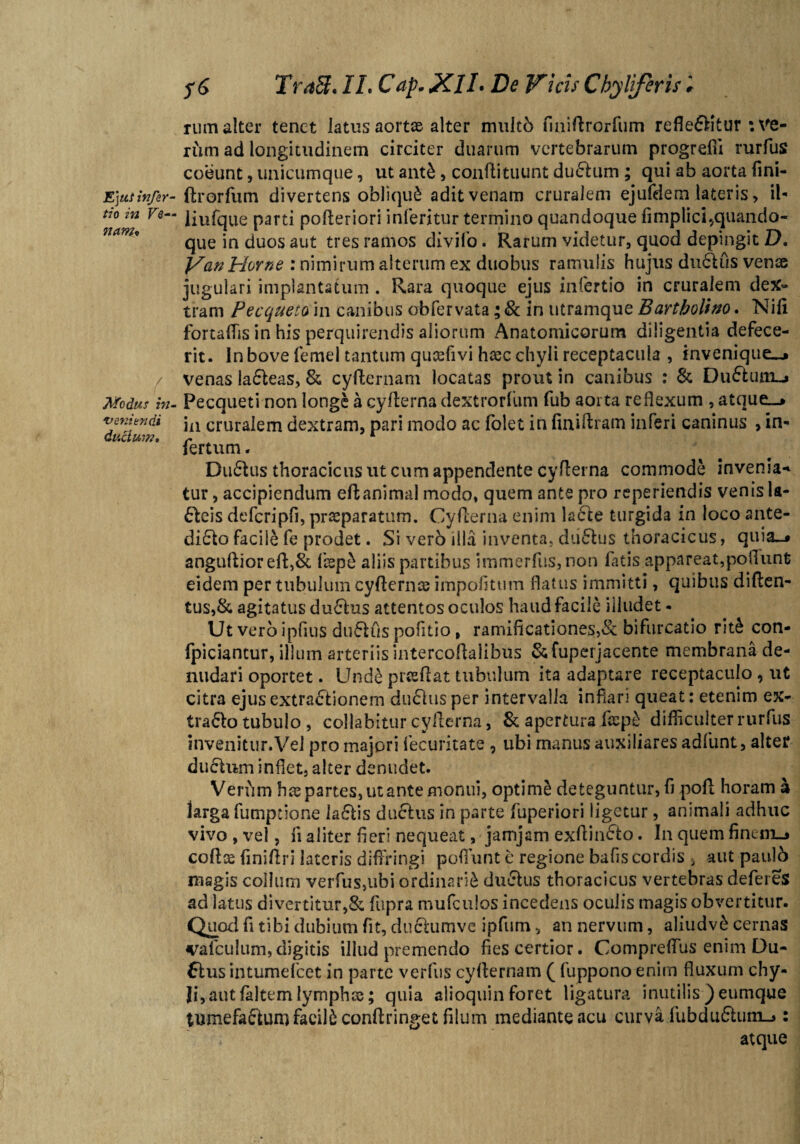 nam* Modus in veniendi ductum. f6 Tra&* II* Cap. XlL De Vicis Chyliferis rum alter tenet latus aortas alter multb fmiflrorfum reflentur noe¬ rum ad longitudinem circiter duarum vertebrarum progrefii rurfus coeunt, unicumque, ut ant&, conflituunt duCfcum ; qui ab aorta fini- E]uiinfer- ftrorfum divertens obliqui adit venam cruralem ejufdem lateris > il- tco m Ve— |jufqlle parti pofteriori inferitur termino quandoque fimplici..quando¬ que in duos aut tres ramos divifo. Rarum videtur, quod depingit D. Van Horne : nimirum alterum ex duobus ramulis hujus duCfcus venas jugulari implantatum . Rara quoque ejus infertio in cruralem dex¬ tram Pecqueto in canibus obfervata; & in utramque Bartholino. Nifi fortafiis in his perquirendis aliorum Anatomicorum diligentia defece¬ rit. In bove femel tantum qucefivi haec chyli receptacula , invenique^* venas laCteas, & cyflernam locatas prout in canibus : & Du£tum_» Pecqueti non longe a cyflerna dextrorfum fub aorta reflexum , atque__> in cruralem dextram, pari modo ac folet in finiftram inferi caninus , in¬ fertum . Du£lus thoracicus ut cum appendente cyflerna commode invenia* tur, accipiendum effcanimal modo, quem ante pro reperiendis venis U- £leis defcripfi, praeparatum. Cyflerna enim la6le turgida in loco ante- diCfco facile fe prodet. Si vero illa inventa, dii£lus thoracicus, quia_j anguftiorefl,& faepi aliis partibus immerfus,non fatis appareat,poftunfc eidem per tubulum cyflerna? impolitum flatus immitti, quibus diften- tus, & agitatus duCius attentos oculos haud facile illudet - Ut vero i piius du&us politio, ramificationes,& bifurcatio rit& con- fpiciantur, illum arteriis intercoflalibus & fuperjacente membrana de¬ nudari oportet. Unde prrcflat tubulum ita adaptare receptaculo , ut citra ejus extractionem duChisper intervalla inflari queat: etenim e%- tra<5lo tubulo , collabitur cyflerna, & apertura fo?p£ difficulter rurfus invenitur.Vel pro majori fecuritate , ubi manus auxiliares adfunt, alter du&um inflet, alter denudet. Verum hae partes, ut ante monui, optimi deteguntur, fi poli horam a iarga fumptione la£tis ductus in parte fuperiori ligetur, animali adhuc vivo , vel, fi aliter fieri nequeat, jamjam exflinCio. In quem fintnu coftae finiflri lateris diffringi poliunt e regione bafis cordis > aut pau)6 magis collum verfus,ubi ordinarii duCtus thoracicus vertebras deferes ad latus di vertitur,& fupra mufculos incedens oculis magis obvertitur. Quod fi tibi dubium fit, ductumve ipfum, an nervum, aliudve cernas vafculum,digitis illud premendo fies certior. Compreffus enim Du- flus intumefeet in parte verfiis cyflernam ( fuppono enim fluxum chy¬ li, aut faltem lympha?; quia alioquin foret ligatura inutilis ) eumque tumefaCfcunr#facil£ conftringet filum mediante acu curva fubduCium-»: atque