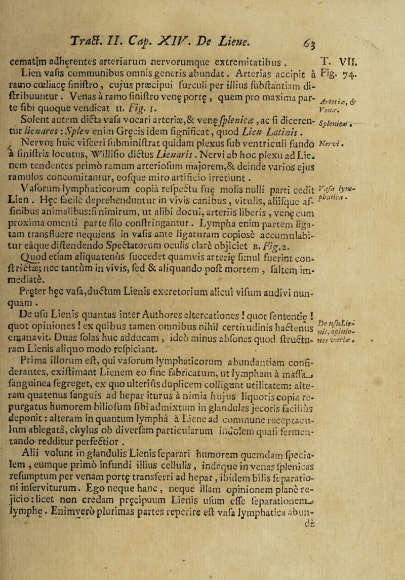 cematjm adherentes arteriarum nervorumque extremitatibus . Lien vafis communibus omnis generis abundat. Arterias accipit a ramo cceliacg finiftro, cujus praecipui furculi per illius fubflantiam di- ftribuuntur. Venas a ramo finiftro vene portg , quem pro maxima par¬ te fibi quoque vendicat u. Fig» r. Solent autem di<5ta vafa vocari arterias,& venqfplenica ,ac fi diceren¬ tur iienares: Splen enim Grgcis idem fignificat, quod Lien Latinis . , Nervos huic vifceri fubminiftrat quidam plexus liib ventriculi fundo a finiftris locutus, Willifio dictus Lienaris. Nervi ab hoc plexu adLie-i nem tendentes primo ramum arteriofum majorem,& deinde varios ejus ramulos concomitantur, eofque miro artificio irretiunt. Vaforum lymphaticorum copia refpe£tu fug molis nulli parti cedit Lien . Hgc facile deprehenduntur in vivis canibus , vitulis, aliifque af¬ finibus aninialibusifinimirum, ut alibi docui, arteriis liberis , veracum proxima omenti parte filo conftringantur. Lympha enim partem liga¬ tam transfluere nequiens in vafis ante ligaturam copiose accumulabi¬ tur eaque diftendendo Speratorum oculis clare objiciet b. Fig.2. Quod etiam aliquatenus fuccedet quamvis arterig fimul fuerint con- ftri&ae; nec tantfim in vivis, fed & aliquando poft mortem , faltem im¬ mediati. Prgfcer hgc vafa,duflum Lienis excretorium alicui vifum audivi nun¬ quam . De ufu Lienis quantas inter Authores altercationes ! quot fententie ! quot opiniones ! ex quibus tamen omnibus nihil certitudinis haftenus emanavit. Duas folas huc adducam , ide6 minus abfonas quod ftruftu- ram Lienis aliquo modo refpiciant. Prima illorum eft, qui vaforum lymphaticorum abundantiam confi- derantes, exiftimant Lienem eo fine fabricatum, ut lympham a mafla-j fanguinea fegreget, ex quo ulterius duplicem colligunt utilitatem: alte¬ ram quatenus languis ad hepar iturus a nimia hujus liquoris copia re¬ purgatus humorem biliofum fibi admixtum in glandulas jecoris facilius deponit: alteram in quantum lympha a Liene ad commune receptacu¬ lum ablegata, chylus ob diverfam particularum indolem quali fermen¬ tando redditur perferior . Alii volunt in glandulis Lienis feparari humorem quemdam fpecia- lem , eumque primo infundi illius cellulis, indeque in venas lplenicas refumptum per venam portg transferri ad hepar, ibidem bilis feparatio- ni inferviturum. Ego neque hanc , neque illam opinionem plane re¬ jicio: licet non credam prgcipuum Lienis ulum e fle leparationem^ iymphe. Enimyero plurimas partes reperire eft vafa lymphatica abun- T. VII. Fig. 74. Arter i ir, <5* VsTJcC* Splenicae«— Nervi. Vafa lym¬ phatica • De ufutie- nis, opinio¬ nes variae «