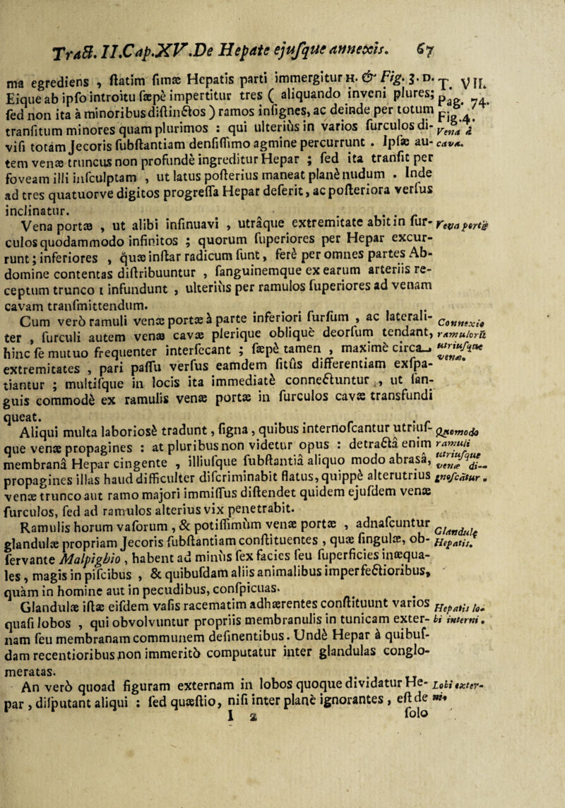 ma egrediens * ftatim fimae Hepatis parti immergitur h- & Fig> 3*d. ^ Eique ab ipfo introitu faspe impertitur tres ( aliquando inveni plures; p ‘ fed non ita a minoribus diftin&os ) ramos infignes, ac deinde per totum p. ’ ' tranfitum minores quam plurimos : qui ulterias in varios furculos di- Vefja . vifi totamjecorisfubftantiam denfiflimo agmine percurrunt . Ipfae au-™**, tem venae truncus non profunde ingreditur Hepar £ fed ita tranfic per foveam ilii infculptam , ut latus pofterius maneat p!an£nudum . Inde ad tres quatuorve digitos progreffa Hepar deferit > ac pofteriora vetius inclinatur. # . . . Venaportce , ut alibi infinuavi , utraque. extremitate abit in fur- rwafrtjg culos quodammodo infinitos \ quorum fuperiores per Hepar excur¬ runt ; inferiores , queo inftar radicum funt , fer£ per omnes partes Ab¬ domine contentas difiribuuntur , fanguinemque ex earum arteriis re¬ ceptum trunco i infundunt , ulterius per ramulos fuperiores ad venam cavam tranfmittendum. Cum ver6 ramuli venx portx h parte inferiori furfum , ac laterali- C9nmxh ter , furculi autem venas cavae plerique oblique deorfum tendant, mmuiorn. hinc fe mutuo frequenter interfecant ; tamen , maxime ciica_i ^jj^*** extremitates , pari paffiu verfus eamdem fitus differentiam exfpa- tiantur ; multifque in locis ita immediati conne£tuntur , ut fan- guis commodi ex ramulis venas portae in furculos cavae transfundi queat. Aliqui multa laboriosi tradunt, figna, quibus internofeantur utriiif- Quomodo que venae propagines : at pluribus non videtur opus : detra£la enim ramnii membrana Hepar cingente , llliufque fubftantia aliquo modo abrasa, vtnte propagines illas haud difficulter diferiminabit flatus, quipp^ alterutrius gno/catur . venae trunco aut ramo majori immilTus diflendet quidem ejufdem venae furculos, fed ad ramulos alterius vix penetrabit. Ramulis horum vaforum , & potiflimfrm venae portae , adnafeuntur G!itndi. glandulae propriam Jecoris fubflantiamconflituentes , quae fingulre, ob- HepntjSm fervante Malpigbio , habent ad miniis fex facies feu fuperficies inaequa- les, magis in pifeibus , & quibufdam aliis animalibus imperfe£tioiibus> quam in homine aut in pecudibus, confpicuas. Glandulae iflae eifdem vafis racematim adhaerentes conuituunt varios ^ quafi lobos , qui obvolvuntur propriis membranulis in tunicam exter- bi interni. nam feu membranam communem delinentibus. Und& Hepar & quibuf¬ dam recentioribusjion immeritb computatur inter glandulas conglo¬ meratas. An verb quoad figuram externam in lobos quoque dividatur He- i0n txtey par ,difputantaliqui : fedquseftio, nifiinterplane ignorantes, eftde w* r * rr lolo 1