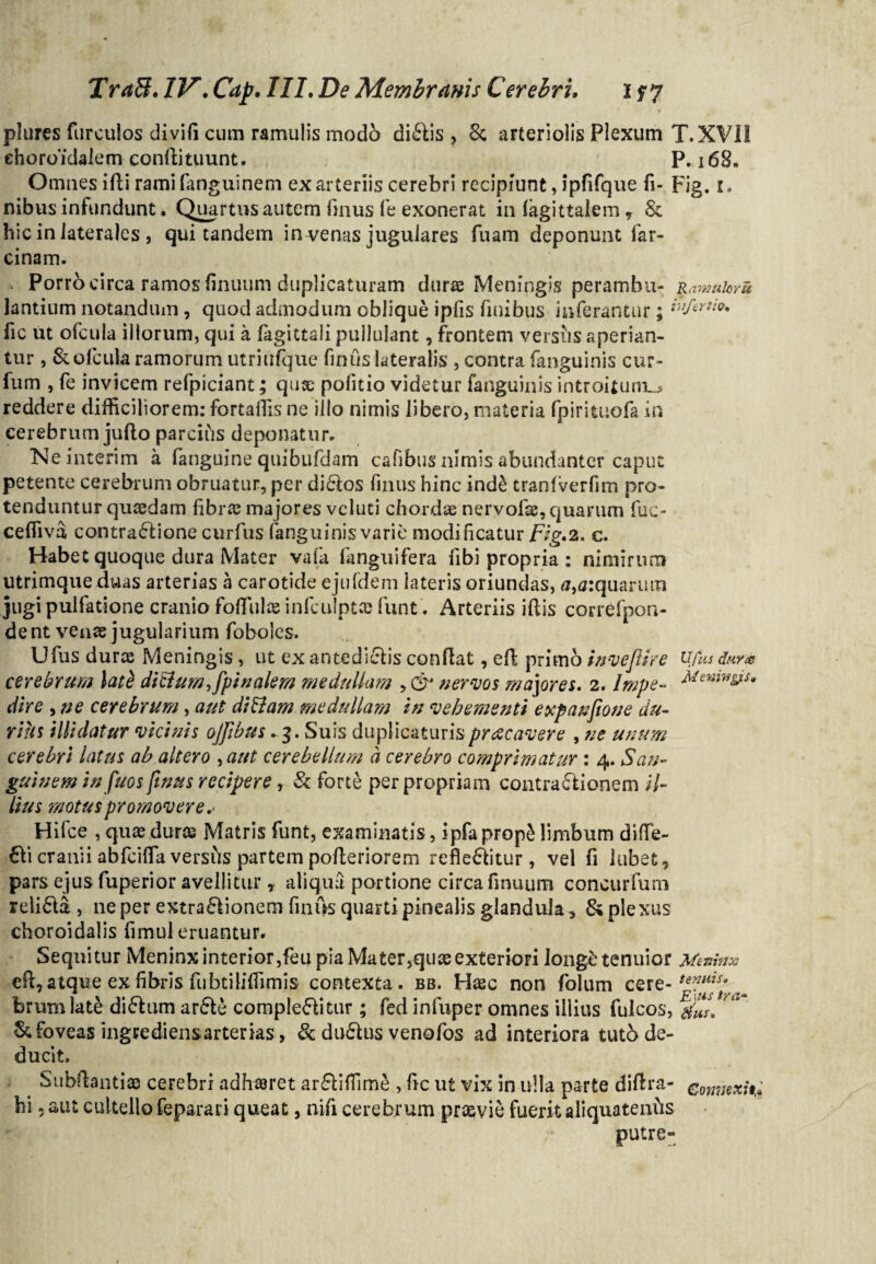 plures furculos divifi cum ramulis modo dibis , 8c arteriolis Plexum T.XVII ehoro'idaiem conflituunt. P. 168. Omnes illi ramifanguinem ex arteriis cerebri recipiunt, ipfifque fi- Fig. 1. nibus infundunt. Quartus autem finus fe exonerat in fagittalem, & hic in laterales , qui tandem in venas jugulares fuam deponunt far- cinam. . Porro circa ramos finuum duplicaturam durae Meningis perambu- Ramukru lantium notandum, quod admodum oblique ipfis finibus inferantur; *”fsrU9* fic ut ofcula illorum, qui a fagittali pullulant, frontem versiis aperian¬ tur , & ofcula ramorum utriufque finus lateralis , contra fanguinis cur- fum , fe invicem refpiciant; qux politio videtur fanguinis introitum^ reddere difficiliorem: fortaffis ne illo nimis libero, materia fpirituofa in cerebrum jullo parcifis deponatur. Ne interim a fanguine quibufdam cafibus nimis abundanter caput petente cerebrum obruatur, per dibos finus hinc inde tranfverfim pro¬ tenduntur quaedam librae majores vcluti chordae nervofae, quarum fuc- ceffiva, contra61ione curfus fanguinis varie modificatur Fig. 2. c. Habet quoque dura Mater vafa fanguifera libi propria : nimirum utrimque duas arterias a carotide ejufdem lateris oriundas, 0,a:quarum jugi pulfatione cranio foflulae infculpt® funt. Arteriis illis correfpon- dent venae jugularium foboles. Ufiis durae Meningis , ut ex antedibis conflat, ell primo invefUre Ufus dura cerebrum late ditium,[pinalem medullam nervos majores. 2. Impe- &'**&*• dire , ne cerebrum , aut di&am medullam in vehementi e xp an fio ne du¬ rius illidatur vicinis ojfibus .3. Suis duplicaturispracavere , ne unum cerebri latus ab altero ,aut cerebellum a cerebro comprimatur : 4. San¬ guinem infuos finus recipere, & forte per propriam contrabionem il¬ lius motus promovere.* Hifce , quae durae Matris funt, examinatis, ipfaprop£ limbum difle- 61i cranii abfcififa versus partem polleriorem reflebitur, vel fi Jubet, pars ejus fuperior avellitur, aliqua portione circa finuum concurfum reliba , ne per extrabionem finus quarti pinealis glandula, & plexus choroidalis fimul eruantur. Sequitur Meninx interior,feu pia Mater,quae exteriori longe tenuior Meninx cfl, atque ex fibris fubtiliffimis contexta, bb. Haec non folum ce re-tenllis- brumlate dibum arbe complebitur; fed infuper omnes illius fulcos, & foveas ingrediensarterias, & dubus venofos ad interiora tutb de¬ ducit. Subftanti® cerebri adhaeret arbifiime , fic ut vix in ulla parte diflra- comuxii hi, aut cultello feparari queat, rufi cerebrum praevie fuerit aliquatenfts putre-