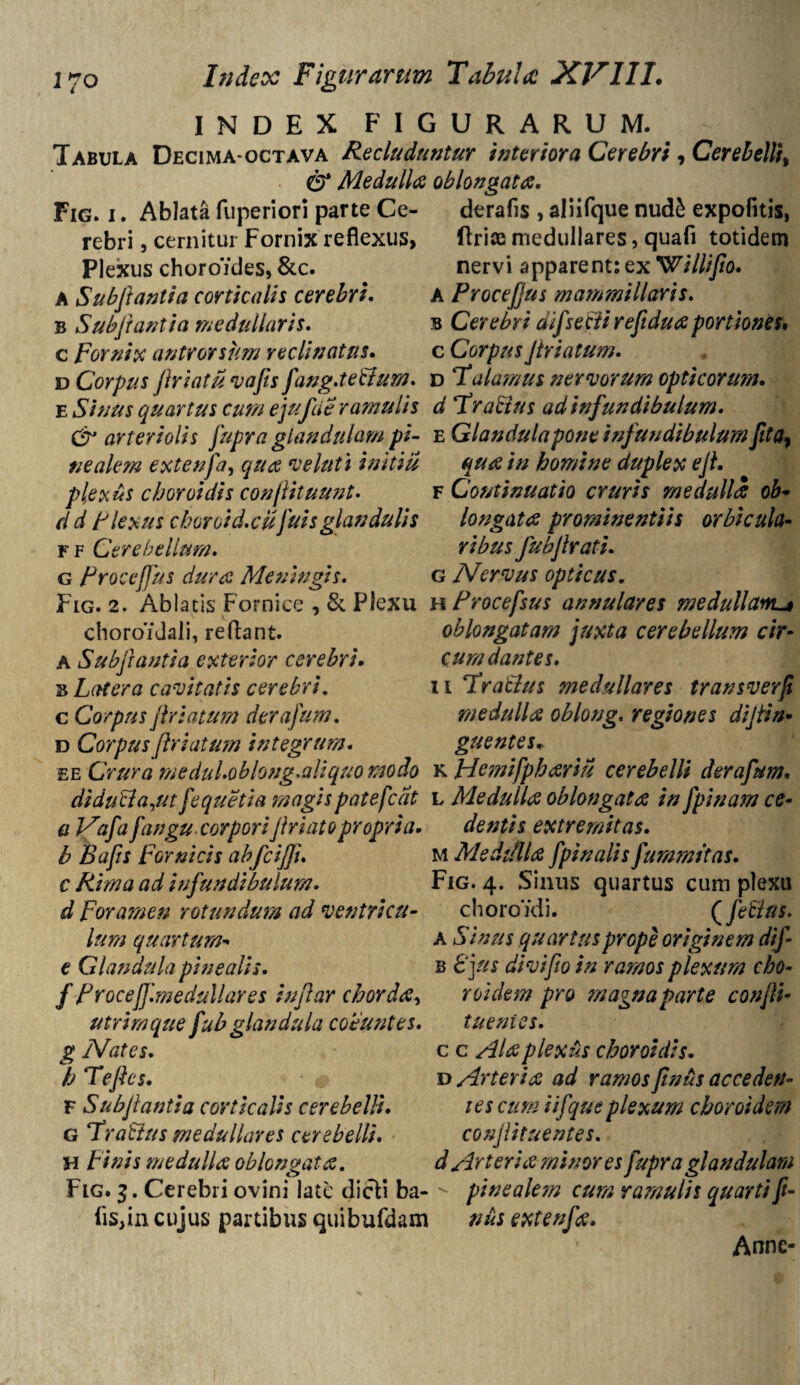 INDEX FIGURARUM. Tabula Decimaoctava Recluduntur interiora Cerebri, Cerebelli, C9* Medulla oblongata. Fig. i . Ablata fuperiori parte Ce- dtrafis , aliifque nud£ expolitis, rebri, cernitur Fornix reflexus, ftrice medullares, quafi totidem Plexus choroYdes, &c. nervi apparent: ex XPillifio. A Subftantia corticalis cerebri. A Procejjus mammillaris. b Subfiantia medullaris. b Cerebri difsecli refiduaportiones. c Fornix antrorsum reclinatus. c Corpus Jtriatum. d Corpus Jhiatu vajis fang.teBum. d Talamus nervorum opticorum. e Sinus quartus cum ejufcie ramulis d Tratius ad infundibulum. £r arteriolis fupra glandulam pi- e Glandulapone infundibulum fita, nealem extenfa, qua ve luti initiu qua in homine duplex ejl. plexus choroidis conjlituunt. f Continuatio cruris medulla ob- d d Flexus choroid.cuJuisglandulis longata prominentiis orbicula- f f Cerebellum. ribus fubjlrati. g Procejjus dura Meningis. G Nervus opticus. Fig. 2. Ablatis Fornice , & Plexu h Procefsus annulares medullam^ choro'/Jali, reflant. oblongatam juxta cerebellum cir- A Subfiantia exterior cerebri. cum dantes. b Latera cavitatis cerebri. 11 Tracius medullares transverji c Corpus jhiatum derafum. medulla oblong. regiones dijtin* d Corpus friatum integrum. guentes+ ee Crura medul.oblong.aliquo modo k Hemifphariu cerebelli derafum. diduci a,ut fequetia magis patefcdt l Medulla oblongata in fpinam ce- a Vafa fangu corpori friato propria. dentis extremitas. b Bafts Fornicis abfcifji. c Rima ad infundibulum, d Foramen rotundum ad ventricu¬ lum quartum- e Glan dula pinealis, f P r oc efi\m eduli ares in far chorda, utrimque fub glandula coeuntes, g Nates, h Teflcs. F Subfantia corticalis cerebelli. g TraBus medullares cerebelli. H Finis medulla oblongata. M MediHla fpinalis fummitas. Fig. 4. Sinus quartus cum plexu choroYdi. (feBus. A Sinus quartus prope originem dif- b 8 jus di vi fio in ramos plexum cho¬ rei dem pro magna parte conjli- tuenies. c c Ala plexus choroidis. d Arteria ad ramos finus acceden¬ tes cum iifqueplexum choroidem confituentes. d Arteria minores fupr a glandulam • 7 Ia • O y y i O r Fig. i . Cerebri ovini late dicli ba- ' pinealem cum ramulis quartifi- lis,in cujus partibus quibufdam nus extenfa. Anne-