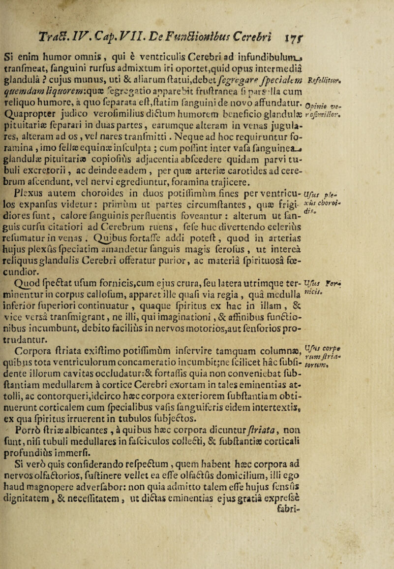 Si enim humor omnis, qui e ventriculis Cerebri ad infundibulum-* tranfmeat, (anguini rurfus admixtum iri oportet,quid opus intermedia glandula ? cujus munus, uti & aliarum flatui,debet fegregar? fpeclaltm quemdam Izquoremiqux ‘egregatio apparebit fruffranea fi paralia cum reliquo humore, a quo feparata eff ,ffatim fanguini de novo affundatur. Quapropter judico verofimilius ditium humorem beneficio glandulas pituitariae feparari in duas partes, earumque alteram in venas jugula¬ res, alteram ad os , vel nares tranfmitti. Neque ad hoc requiruntur fo¬ ramina , imo (eliseequinae inlculpta ; cum pollint inter vafa fanguinea~« glandulae pituitaria* copiofius adjacentia abfcedere quidam parvi tu¬ buli excretorii, ac deinde eadem , per quas arterias carotides ad cere¬ brum afeendunt, vel nervi egrediuntur, foramina trajicere. Plexus autem choroides in duos potitfimiim fines per ventricu¬ los expanfus videtur: primum ut partes circumdantes, quae frigi¬ diores funt, calore (anguinis perfluentis foveantur: alterum ut fan- guiscurfu citatiori ad Cerebrum ruens, fele huc divertendo celerius refumatur in venas . Quibus fortaffe addi pote fi:, quod in arterias hujus plexus fpeciatim amandetur fanguis magis ferofus , ut interea reliquus glandulis Cerebri offeratur purior, ac materia fpirituosa fe¬ cundior. Quod fpeftat ufum fornicis,cum ejus crura, feu latera utrimque ter¬ minentur in corpus callofum, apparet ille quali via regia , qua medulla inferior fuperiori continuatur , quaque fpiritus ex hac in illam , & vice versa tranfmigrant, ne illi, qui imaginationi, & affinibus funflio- nibus incumbunt, debito facilius in nervos rnotorios,aut fenforios pro¬ trudantur. Corpora ffriata exiffimo potiffimiim infervire tamquam columnas, quibus tota ventriculorum concameratio incumbit;ne fcilicet hacfubfi- dente iliorum cavitas occ!udatur;& fortalfis quia non conveniebat fub- ftantiam medullarem a cortice Cerebri exortam in tales eminentias at¬ tolli, ac contorqueri,idcirco hasccorpora exteriorem fubffantiam obti¬ nuerunt corticalem cum (pedalibus vafis (anguiferis eidem intertextis* ex qua fpiritus irruerent in tubulos fubjeclos. Porrb firiaealbicantes , a quibus hasc corpora d\cuntuTfiriata> non funt,nifi tubuli medullares infafciculos coiledi, & fubffantise corticali profundius immerfi. Si verb quis confiderando refpe&um , quem habent heee corpora ad nervos olfa£lorios, fuftinere vellet ea effe olfa&us domicilium, illi ego haud magnopere adverfabor: non quia admitto talem effe hujus fensus dignitatem, & necelficatem 3 ut di&as eminentias ejus gratia exprefse fabri- Refellitur* Opinio vs- r ejimilhr. Ufur ple* xus cboroi- di'* 'Ufus F<?r- nicit. Ufis coyptf rur,7 Jlriii-* torwn3