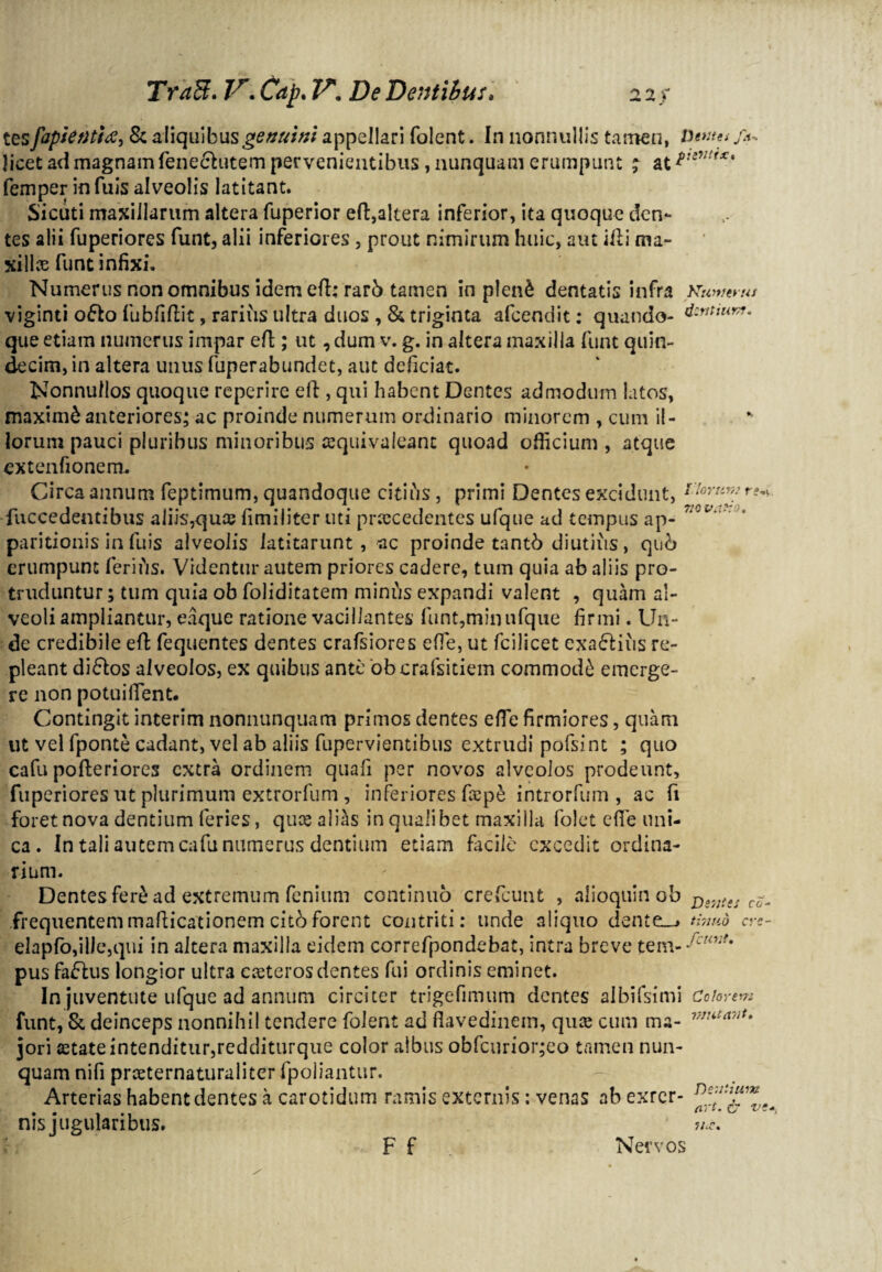 I: lorum rs*\. 770 vafh. tes fapkrttitf-, & aliquibus genuini appellari folent. In nonnullis tamen, Dwtei licet ad magnam fenecfiutem pervenientibus , nunquam erumpunt ; femper in fuis alveolis latitant. Sicuti maxillarum altera fuperior efi,altera inferior, ita quoque den¬ tes alii fuperiores funt, alii inferiores , prout nimirum huic, aut illi ma¬ xillas funt infixi. Numerus non omnibus idem efi: rarb tamen in p!en£ dentatis infra Numerus viginti ofto fubfifiit, rarius ultra duos , & triginta afeendit: quando- &»**“**• que etiam numerus impar effc; ut, dum v. g. in altera maxilla funt quin¬ decim, in altera unus fuperabundet, aut deficiat. Nonnullos quoque reperire eft, qui habent Dentes admodum latos, maximi anteriores; ac proinde numerum ordinario minorem , cum il¬ lorum pauci pluribus minoribus cequivaJeant quoad officium , atque extenfionem. Circa annum feptimum, quandoque citius, primi Dentes excidunt, ■fuccedentibus aliis,quas fimiiiter uti procedentes ufque ad tempus ap¬ paritionis in fuis alveolis latitarunt, ac proinde tantb diutius, qub erumpunt ferifis. Videntur autem priores cadere, tum quia ab aliis pro¬ truduntur; tum quia ob foliditatem minias expandi valent , quam al¬ veoli ampliantur, eaque ratione vacillantes funt,minufque firmi. Un¬ de credibile efi: fequentes dentes crafsiores efie, ut fcilicet exactius re¬ pleant di£tos alveolos, ex quibus ante ‘obcrafsitiem commodi emerge¬ re non potuifient. Contingit interim nonnunquam primos cientes efie firmiores, quam ut vel fponte cadant, vel ab aliis fupervientibtis extrudi pofsint ; quo cafu pofteriores extra ordinem quali per novos alveolos prodeunt, fuperiores ut plurimum extrorfum , inferiores fope introrfum , ac fi foret nova dentium feries, quee alias in qualibet maxilla folet efie uni¬ ca . In tali autem cafu numerus dentium etiam facile excedit ordina¬ rium. Dentes fere ad extremum fenium continuo crelcunt , aiioquinob frequentem mafiicationem cito forent contriti: unde aliquo dente_> tbmb crs- elapfo,iUe,qui in altera maxilla eidem correfpondebat, intra breve tem- pus fa£lus longior ultra eaeteros dentes fui ordinis eminet. In juventute ufque ad annum circiter trigefimum dentes albifsimi Colorem funt, & deinceps nonnihil tendere folent ad fiavedinem, quas cum ma- 77mta7it* jori astate intenditur,redditurque color albus obfcurior;eo tamen nun¬ quam nifi prceternaturaliter fpoliantur. — Arterias habent dentes a carotidum ramis externis: venas abexrcr- Ds.lttlP™ . . att.o ve*, nisjugularibus. F f Nervos