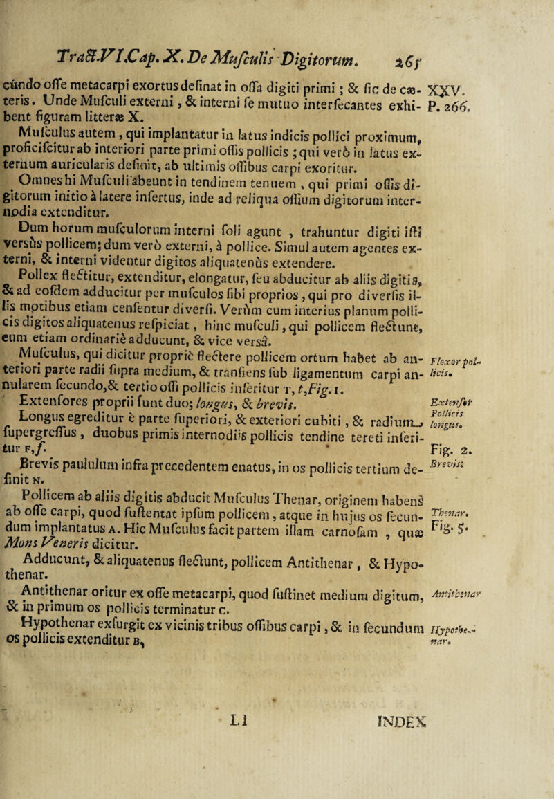 Traft.VI.Cap. X. De Mufculis;Digitorum0 %6y eundo ofle metacarpi exortusdefinat in ofla digiti primi • & fiede ce¬ teris . Unde Mufculi externi, & interni fe mutuo interfecantes exhi¬ bent figuram litteras X. Mufculus autem , qui implantatur in latus indicis pollici proximum, proficifciturab interiori parte primi odis pollicis ;qui ver6 in latus ex¬ ternum auricularis definit* ab ultimis oflibus carpi exoritur. Omnes hi Mufculi abeunt in tendinem tenuem , qui primi offis di¬ gitorum initio h latere infertus, inde ad reliqua offium digitorum inter¬ nodia extenditur. Dum horum mufculorum interni foli agunt , trahuntur digiti ifti versus pollicem; dum vero externi, a pollice. Simul autem agentes ex¬ terni, & interni videntur digitos aliquatenus extendere. Pollex fk&itur, extenditur, elongatur, feu abducitur ab aliis digitis, & ad eofdem adducitur per mufculos fibi proprios , qui pro diveriis il¬ lis motibus etiam cenfentur diverfi. Verftm cum interius planum polli¬ cis digitos aliquatenus refpiciat, hinc mufculi, qui pollicem flectunt, eum etiam ordinarii adducunt, & vice versa. Mufculus, qui dicitur proprie fle&ere pollicem ortum habet ab an¬ teriori parte radii ftipra medium, & tranfiens lub ligamentum carpi an¬ nularem fecundo,& tertio otTi pollicis inferitur t, t,tig,i. Extenfores proprii funt duo; longus, & brevis. Longus egreditur e parte fuperiori, & exteriori cubiti, & radium^ fupergrefTus , duobus primis internodiis pollicis tendine tereti inferi¬ tur f,/. Brevis paululum infra precedentem enatus, in os pollicis tertium de¬ finit N. Pollicem ab aliis digitis abducit Mufculus Thenar, originem habens ab ofTe carpi, quod fuftentat ipfum pollicem, atque in hujus os fecun¬ dum implantatus a. Hic Mufculus facit partem illam carnofam , quas Mons ineris dicitur. Adducunt, & aliquatenus fleflunt, pollicem Antithenar, & Hypo¬ thenar. Antithenar oritur ex ofTe metacarpi, quod fuftinet medium digitum, & in primum os pollicis terminatur c. Hypothenar exfurgit ex vicinis tribus offibus carpi, &; in fecundum os pollicis extenditur b, xxv» P. 2 661 Flexor p si¬ licis» Extenf§r Pollicis longus, Fig. 2. Brevis: Thenar. Antithenar Hypothe*- nar* L1 INDEX