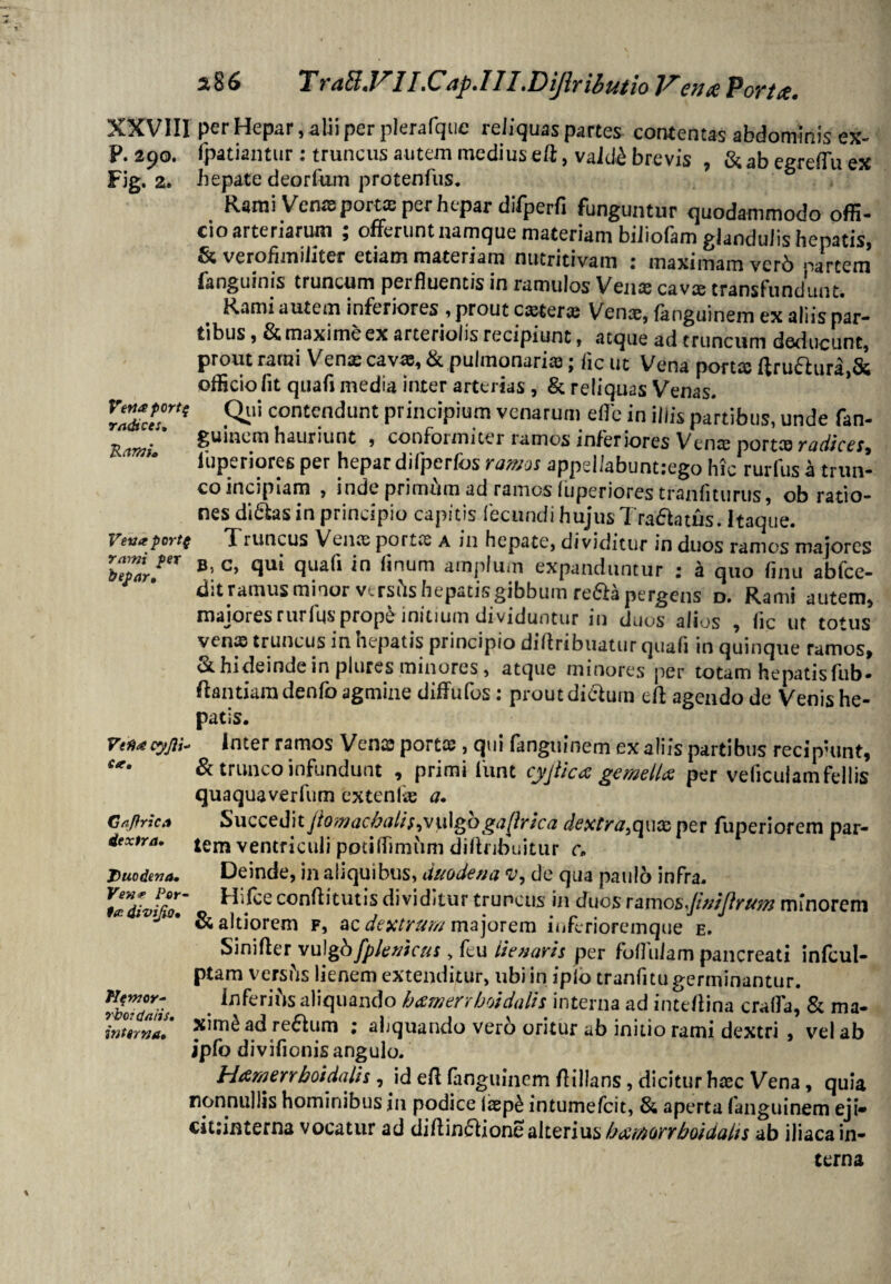 XXVIII per Hepar, alii per plerafque reliquas partes contentas abdominis ex- P. 290. fpatiantiir: truncus autem mediuseft, vaid£ brevis , &abegreffuex Fig. z. hepate deorfum protenfus. Rami Venae portas per hepar difperfi funguntur quodammodo offi¬ cio arteriarum ; offerunt namque materiam biiiofam glandulis hepatis, & verohmiJiter etiam materiam nutritivam : maximam verb nartem fanguinis truncum perfluentis in ramulos Venx cavx transfundunt. Rami autem inferiores , prout cxterx Venx, fanguinem ex aliis par¬ tibus , & maxime ex arteriolis recipiunt, atque ad truncum deducunt, prout rami Venx cavas, & pulmonaria; fic ut Vena portx ftru&ura,& oflicio fit quafi media inter arterias , & reliquas Venas. conte.ndunt Principium venarum effe in iliis partibus, unde fan- Tkcwii u 1 n c m hauriunt , confoimicer ramos inferiores Venx portx radices, luperiores per hepar difperfos ramus appellabuntjego hic rurfus a trun¬ co incipiam , inde primam ad ramos iiiperiores tranfiturus, ob ratio¬ nes di&asin principio capitis fecundi hujus Tranatus. Itaque. Vevaportf Xruncus Venx portx a in hepate, dividitur in duos ramos majores B’c’ qu* qiiafl in finum amP,um expanduntur : a quo finii abfce- dit ramus minor versfts hepatis gibbum re&a pergens d. Rami autem, majores rurfgs prope initium dividuntur in duos alios , lic ut totus venx truncus in hepatis principio diftribuatur quafi in quinque ramos, St hi deinde in plures minores, atque minores per totam hepatis fub- ftantiaradenfo agmine diffufos: prout diclurn eff agendo de Venis he¬ patis. Vefid cyjll Cee, Gaflrica dextra. Duodena, Ven* Por¬ ter. divijio• Tlemor* rbo?(jeiiis. interna. . Inter ramos Venx portx , qui fanguinem ex aliis partibus recip*unt, & trunco infundunt , primi 1'unt cyjlica gemella per veficulamfellis quaquaverfum extenfx a. Succeditjiomac/jaltf)vulgogaflrica dextra^quxper fuperiorem par¬ tem ventriculi potiflimiim dilinbuitur c. Deinde, in aliquibus, duodena v, de qua paulo infra. • Hi Ice confiitutis dividitur truncus' in duos ramos pnijlrum minorem &altiorem f, ac dextrum majorem in feri orem que e. Sinifler vulgbfplenicus> feu iienaris per fofl\ilam pancreati infcul- ptam vershs lienem extenditur, ubi in ipio tranfitu germinantur. Inferius aliquando bamenboidalis interna ad inteflina craffa, & ma¬ ximi ad reftiim ; aliquando vero oritur ab initio rami dextri , vel ab ipfo divifionis angulo. Htzrnerrhoidalh , id efl fanguinem Ailians, dicitur hxc Vena, quia nonnullis hominibus in podice ixpb intumefeit, & aperta fanguinem eji* ciuinterna vocatur ad diflin£lione alterius becmorr boidalts ab iliaca in¬ terna