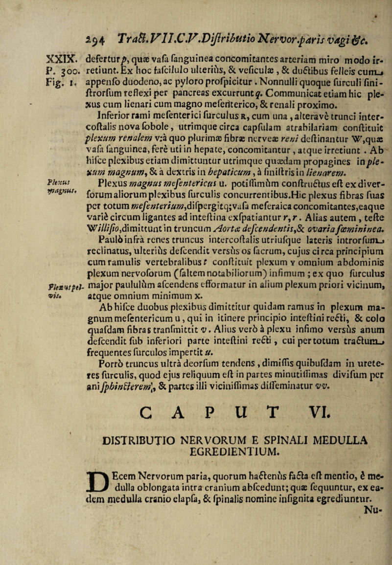 p. 300. Fig. 1. Flexus magnus* Plex W pel¬ vis* £54 TraB, VII\C\V'.Dijlributio Nervor.paris vagi &c» retiunt. Ex hoc fafciJulo ulterifts, & veficulae , 8c ducibus felleis cum»» appenlo duodeno, ac pyloro profpicitur . Nonnulli quoque furculi fini- Arorfum reflexi per pancreas excurrunt Communicat etiam hic ple¬ mus cum lienari cum magno meferiterico, 8t renali proximo. Inferior rami mefenterici furculusu, cum una ,alterave trunci inter- coAalis nova lobole, utrimque circa capfulam atrabilariam conAituit plexum renalem v;a quo plurimae fibrae nerveae reni deAinantur W,quae vafa fanguinea, fere uti in hepate, concomitantur, atque irretiunt . Ab hifce plexibus etiam dimittuntur utrimque qucedam propagines in ple¬ xum magnum, St a dextris in hepaticum, a finiltris in lieuarem. Plexus magnus mefentericus u. potilfimftm conAruShis eA exdiver- forumaliorum plexibus furculis concurrentibus.Hic plexus fibras fuas per totum mefentertum,d'tfperg]tq;vah meferaica concomitantes,eaque vari£ circum ligantes ad inteAina exfpatiantur r, r. Alias autem , teAe WillifiO)dimittunt in truncum Aorta defcendentis,& ovaria fxmininea. Paul6infra renes truncus interco Aalis utriufque lateris introrfunij reclinatus, ulterihs defcendit vershs os facrum, cujus circa principium cum ramulis vertebralibus t conflituit plexum y omnium abdominis plexum nervoforum (faltem notabiliorum) infimum ; ex quo furculus major paululiim afcendens efformatur in alium plexum priori vicinum, atque omnium minimum x. Ab hifce duobus plexibus dimittitur quidam ramus in plexum ma¬ gnum mefentericum u, qui in itinere principio inteflini re£li, 8c colo quafdam fibras tranfmittit v. Alius verb a plexu infimo versils anum defcendit fub inferiori parte inteflini re&i, cui per totum tra&um-» frequentes furculos impertit u. Porrb truncus ultra deorfum tendens , dimifiis quibufdam in urete¬ res furculis, quod ejus reliquum eA in partes minutiflimas divifum per anifpbinfferem]7 St partes illi viciniflimas dilfeminatur vv. CAPUT VI. DISTRIBUTIO NERVORUM E SPINALI MEDULLA EGRED1ENTIUM. DEcem Nervorum paria, quorum hafleniis fa£te eA mentio, 5 me¬ dulla oblongata intra cranium abfcedunt; quae fequuntur, ex ea¬ dem medulla cranio elapfa, St fpinalis nomine infignita egrediuntur. Nu-