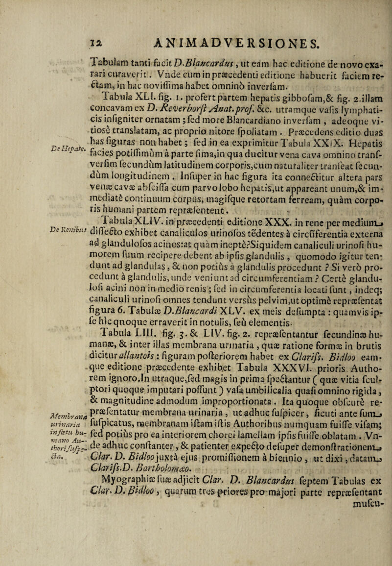 Ve Hepate» Ve Kenihus Membrana urinaria infoetu hu¬ mano Au— tborijhrpom cia. labulam tanti facit D.Blancardus , ut eam hac editione de novo exa¬ rari curaverit. Vnde cum in procedenti editione habuerit faciem re¬ giam, in hac novifiima habet omnino inverlam. Tabula XLl.fig. i. profert partem hepatis gibbofam,St fig. 2.illam concavam ex D. Reverborfi Attat.prof Stc. utramque vafis lymphati¬ cis infigniter ornatam; fed more Blancardiano inverfam , adeoque vi¬ tiose translatam, ac proprio nitore (poiiatam . Procedens editio duas hasfiguras non habet; fed in ea exprimitur Tabula XX*X. Hepatis fiiciespotHTimhmaparte fima,in qua ducitur vena cava omnino tranf- verfim fecundiim latitudinem corporis,cum naturaliter tranfeat fecun¬ dum longitudinem . Infuper in hac figura ita conneSlitur altera pars venae cavae abkilla cum parvo lobo hepatis,ut appareant unum,Se im¬ mediati continuum corpus, tnagifque retortam ferream, quam corpo¬ ris humani partem repraefentent. fabulaXLlV. in praecedenti editione XXX. in rene per medium-» difiedto exhibet canaliculos urinofos tedentes a circuferentia externa ad glandulofos acinosrat quam ineptePSiquidem canaliculi urinofi hu¬ morem fiiurn recipere debent ab ipfis glandulis , quomodo igitur ten¬ dunt ad glandulas, St non potifis a glandulis procedunt ? Si ver6 pro¬ cedunt a glandulis, unde veniunt ad circumferentiam ? Certe glandu- loli acini non in medio renis; fed in circumferentia locati funt, indeq; canaliculi urinofi omnes tendunt versus pelvim,ut optimi reprasfentat figura 6. Tabulae D.Blancardi XLV. ex meis defumpta : quamvis ip- fe h)c quoque erraverit in notulis, fei'i elementis- labula LI1J. fig. 3. St LIV7- fig. 2. repraefentantur fecundin» hu¬ manae, St inter illas membrana urinaria , quae ratione formae in brutis dicitur allcwtois : figuram pofleriorem habet exClarifs, Bidloo eam- que editione praecedente exhibet Tabula XXXVI. prioris Autho- rem ignoro.In utraque,fed magis in prima fpefitantur ( quae vitia fcui- ptori quoque imputari poffunt) vafa umbilicalia quafi omnino rigida, St magnitudine admodum improportionata . Ita quoque obfcure re- praefentatur membrana urinaria , ut adhuc fufpicer, Acuti ante fum_j fufpicatus, membranam illam illis Authoribus numquam fuilfe vifam; fed potilis pro ea interiorem chorei lamellam ipfis fuilfe oblatam . Vn¬ de adhuc conllanter, St patienter expe&o defuper demonflrationem^ Clar. D. Bidloo juxtk ejus promiflionem h biennio , ut dixi, datanij Claytfs.D. Bartholomczo» Myographicc fuce adjicit Clar» D» Blancardus feptem Tabulas ex CIuy»D* Bidloo , quarum tres priores pro majori parte repraTentant nvufcu-