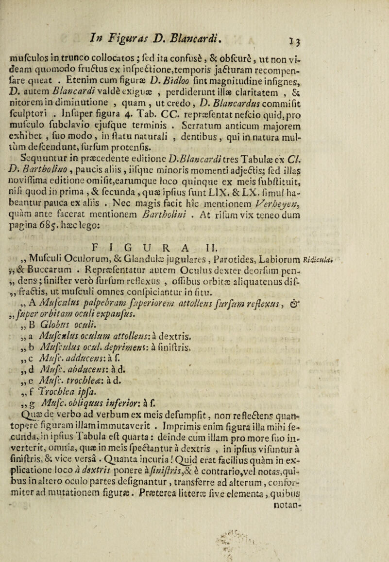 mufculos in trunco collocatos; fed ita confusi, & oblcure, ut non vi¬ deam quomodo fru&us ex infpedtione,temporis ja&uram recompen- fare queat . Etenim cum figurae D.Bidloo fmt magnitudine infignes, D. autem Blancardi valde exiguae , perdiderunt illae claritatem , & nitorem in diminutione , quam , ut credo, D. Blancardus commifit fculptori . Jnfuper figura 4. Tab. CC. repraefentat nefcio quid,pro mufculo fubclavio ejufque terminis . Serratum anticum majorem exhibet , (uo modo , in flatu naturali , dentibus , qui in natura mul¬ tum delcendunt, furfum protentis* Sequuntur in praecedente editione D.Blancardi tres Tabula ex CL D. Bartholino , paucis aliis , iilque minoris momenti adje6fis; fed illas noviflima editione omi<it,earumque loco quinque ex meis fubftituit, nifi quod in prima , & fecunda , quae ipfius funtLIX. &LX. fimul ha¬ beantur pauca ex aliis . Nec magis facit hic mentionem Verheyen*) quam ante facerat mentionem Bartholini . At rifum vix teneo dura pagina 685. haec lego; FIGURA II. ,, Mufculi Oculorum, & Glandulas jugulares , Parotides, Labiorum Ridicula Buccarum . Reproefentatur autem Oculus dexter deorfum pen-. „ dens;finifter vero furfum reflexus , oflibus orbitas aliquatenus dif- „ fraCtis, ut mufculi omnes confpiciantur in litu. „ A Mufc alus palpebram fuperior em attollens fur jam reflexus, & „fuper orbita?n oculi expanfus. „ B Globus oculi. ,, a Mufcttlus oculum attollens: h dextris. ,, b Mufctdus ocuL deprimens: a fi ni (Iris* ,, c Mufc. adducens: a f. 5> d Mufc. abducens; a d. „ e Mufc. trochleae: a d. ,, f 'Trochlea ipfa. ,, g Mufc. obliquus inferior: h f. Qnx de verbo ad verbum ex meis defumpfit, non refle&ens quan¬ topere figuram illam immutaverit . Imprimis enim figura illa mihi fe- fcilnda, in ipfius Fabula efl quarta : deinde cum illam pro more fuo in¬ verterit, omnia, quas in meis fpeftantur a dextris , in ipfius vifuntur a finiftris, & vice versa . Quanta incuria! Quid erat facilius quhm in ex¬ plicatione loco 4 dextris ponere afini/lris^Sc b contrario,vel notas,qui¬ bus in altero oculo partes defignantur, transferre ad alterum, confor¬ mi ter ad mutationem figuras. Praeterea litteras five elementa 5 quibus notan-