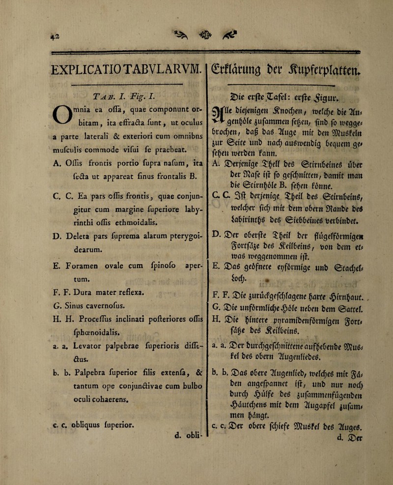 ^ EXPLICATIO TABVLARVM. T A B. I. Fig. L mnia ea ofla, quae componunt or¬ bitam , ita efFra&a funt, ut oculus a parte laterali & exteriori cum omnibns mufculis commode vifui fe praebeat. A. Oflis frontis portio fupra nafum, ita fe&a ut appareat finus frontalis B. C. C. Ea pars oflis frontis, quae conjun¬ gitur cum margine fuperiore laby¬ rinthi oflis ethmoidalis. D. Deleta pars fuprema alarum pterygoi¬ dearum. E. Foramen ovale cum fpinofo aper¬ tum. F. F. Dura mater reflexa. G. Sinus cavernofus. H. H. Proceflus inclinati pofteriores oflis fphcenoidalis. a. a. Levator palpebrae fuperioris diflt- dus. b. b. Palpebra fuperior filis extenfa, & tantum ope conjundivae cum bulbo oculi cohaerens. c. c. obliquus fuperior. d. obii- 0rl(ar«ng t>er Alupferplatten- ÜDie crfic Cafd: cifte ^tgur. Ut biejentgen Änocf;en, mtd)t bte Ku« gen&öfe jufammen fe§en, finb fo n*gg« brocfjen, bafj ba3 Tiuge mit beti SiftuSfeln jut ©eife unb nacf; auStoenbtg bequem ge» feben luerben fann. A. ^Derjenige J^eff beS ©tirnbeineä übet ber 9Jafe tft fo gefd)ttittett, bnmit mati bte ©tirnböle B. feben fonne. C C 3(1 ber|em'ge bei ©tirnbeinö, . n>efci;er fid) mit betrt ober« Staube bei (abtrintQi bei ©iebbeineß toetbinbef. D. 55er obetjfe $beif ber fiügefförmigei« goitfdje beS ifeifbetng, t>on bem eu tinis meggenommen »ff. E. 3)ag geöfnete epförmige unb ©fadjeU (od> F. F. ®ie jucücfgefcfjfagene butte Jptrnbauf. . G. 35t'e unförmlichere neben bem ©attef. H. .Tue bittrere pqramibenförmigen §ort< fd|e bei Äeifbeinä. a. a. ®cr burdjgefdiniffeite aufbebenbe SOIu^ fei bes obetn TiugenftebeS. b. b. &ai obere Tfugenfteb, tt>efd;e$ mit §d< ben angefpannet i(f, unb nur nod) burd) ^uiffe beö jufmnmenfügenben Jpdutcijetis mit bem Augapfel jufatm men bdngf. c. c. 2)er obere fctg'efe SKusfei beS Ttugei. d. £er