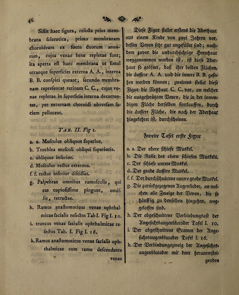 Siftit haec figura, refe&a prius mem- j brana fclerotica, primo membranam choroideam ex foetu duorum anno¬ rum, cujus venae bene repletae funt; ita aperta eft haec membrana ut fimul utraeque fuperficies externa A. A., interna B. B. confpici queant; fecundo membra¬ nam reprefentat retinam C. C., cujus ve* nae repletae in fuperficie interna decurren¬ tes, per externam choroidi obverfam fa¬ ciem pellucenr. \ v Tab. II. Fig i. a. a. Mufculus obliquus fuperior. b. Trochlea mufculi obliqui fuperioris. c. obliquus inferior. d. Mufculus re&us externus. f. f. re&us inferior difciflus. g. Palpebrae omnibus ramufculis, qui eas copiofiflime pingunt, omif- fis, retraßae. h. Ramus anaftomoticus venae ophthah micae facialis refe&nsTabl. Figi. io. i. truncus venae facialis ophthalmicae re* fe&us Tab. I. Fig I. 16. k. Ramus anaftomoticus venae facialis oph¬ thalmicae cum ramo defcendente venae ®iefe Sigut* fMef etjfenö bie Tiberbaut au$ einem Äinbe hon $wei Sauren t>or, beffen 3Senenfebtgutangefuüetfmb; nach* bem $ubor bk uttbuvdjftdjttge ^ornbaut meggenommett toorben ift, tft bkfe Tibet* [ baut fo gebfnet, ba£ t'bre beiben Sieben, bk duffere A. A. unb bie innere B. B. gefe* ben tuerben Fönnen; 5tt>eiten$ ftelkt biefe I Stgur bie Diefbaut C. C. fcor, au n>efd;er bie au£gefpru|ten 93enen, bie in ber inroen* j btgen gfddje berfe(6en fortiauffen, burcb bie duffere Sidd;e/ bie nach ber Tiberbaut bingefebret ifl, burd;fcbeiuen. Sweite Zafd evfte ^igur a. a. ®er obere fd)iefe 9)?u£Fef. b. 3Me 3lotk be6 o6ern fdjiefen 9!Su6fef$. c. JDer fd)iefe untere 9ftu$Fef. d. ®er grabe duffere SKuSfeh f. f. ®er burd;fd;mttene untere grabe SOtu^Fef. g. X>k surucFge$ogenen?iugenfieber, an n>ef* eben aife Steige ber 2Senen, bie fo b«»fftg ju benfefben ^ingegerty tt>eg* gefaffen fmb. h. SDer a6gefd)nittene 23er6inbung£ajl ber Tingefid;t^augen6(utaber ?afei I. io♦ i. ®er afcgefdjnitfene ©tamm ber Tinge* fid;t$augen6futaber £afef I. 16. k. ®er 33et6inbung£$meig ber Tingefid;t$* augenWutaber mit bem b^unterfM* . _ geube«