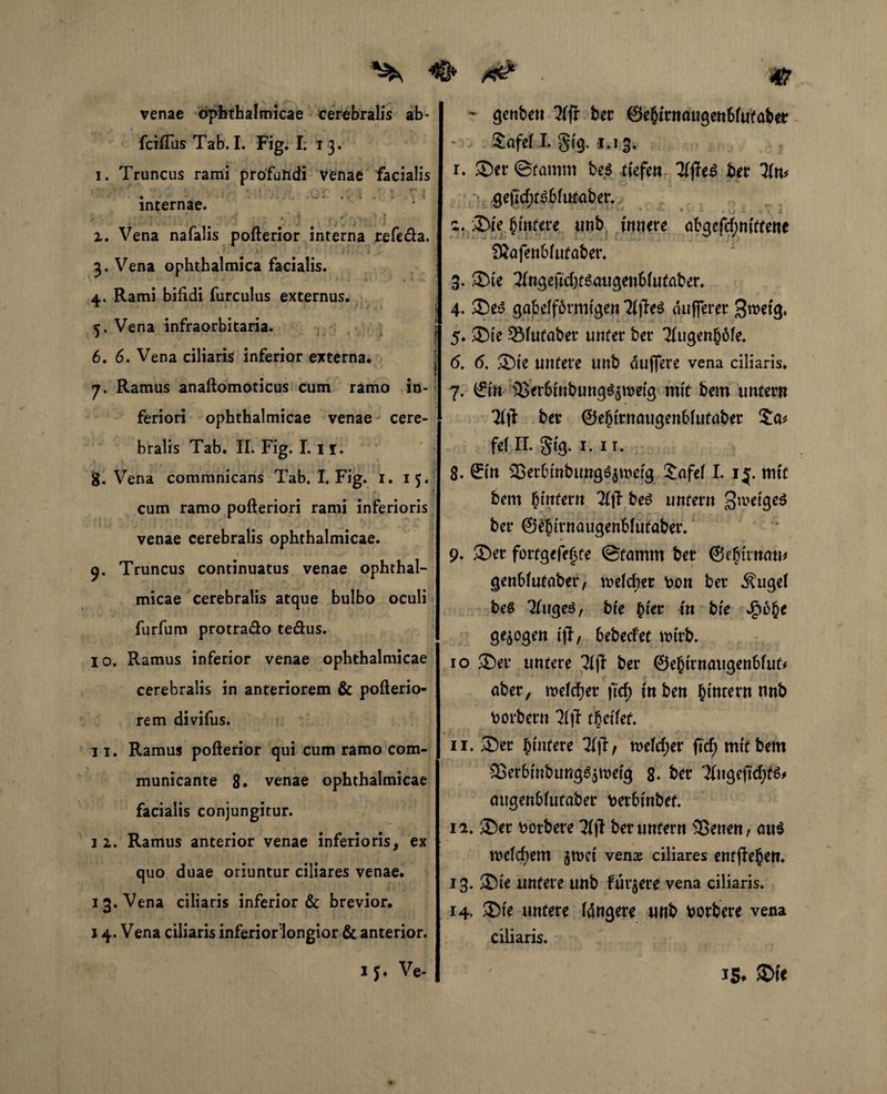 venae ophthalmicae cerebralis ab- fciiTus Tab.I. Fig. I; 13. I. Truncus rami profundi venae facialis % • * '• - . \j < . i i. \ *■ internae. > • - *4 • > j ; ^ ,•. • t i. Vena nafalis pofterior interna refeöa. v . ;' i . 3. Vena ophthalmica facialis. 4. Rami bifidi furculus externus. * ! 5. Vena infraorbitaria. 6. 6, Vena ciliaris inferior externa. 1 7. Ramus anaftomoticus cum ramo in¬ feriori ophthalmicae venae cere¬ bralis Tab. II. Fig. I. ir. jj$. Vena commnicans Tab, I. Fig. 1. 15. cum ramo pofteriori rami inferioris venae cerebralis ophthalmicae. 9. Truncus continuatus venae ophthal¬ micae cerebralis atque bulbo oculi furfum protra&o tedus. 10. Ramus inferior venae ophthalmicae cerebralis in anteriorem & pofterio- rem divifus. II. Ramus pofterior qui cum ramo com¬ municante 8. venae ophthalmicae facialis conjungitur. 11. Ramus anterior venae inferioris, ex quo duae oriuntur ciliares venae. 13. Vena ciliaris inferior & brevior. 14. Vena ciliaris inferior'longior & anterior. 1 J. Ve- - genben ber ©e&ttnaugenblutabet SafeM. §tg. 1.13. 1. ©er ©tamm be$ tiefen 2(fTe$ ber Tin* geftcf;t6blutaber. 2. ©tV Untere unb innere abgcfc^ntftene SJafenblutaber. : 3. ©te ^ngeftcfxsaugenblutaber. 4. ©e$ gabelförmigen 2(jle$ dufferer 3tt>etg, 5. ©te SMutaber unter ber 3(ugenböfe. 6. 6, ©te untere unb duffere vena ciliaris. 7. (ftn i&erbmbung^metg mit bem untern 7(|l ber ©efjtrnaugenblufaber fei II. gtg. 1. 1 r. 8. ©in ©erbtnbungs$tt>cfg $afel I. 1$. mit bem btnfern Uft be$ untern 3wetge$ ber ©ebtrnaugenbfutaber. 9* ©er fortgefe|te ©fatum ber ©efntnatu genblutaber, welcher bon ber Äuge! bes 3(uge3, bfc £ter tn bte d3o§e gezogen tji, 6ebecfet wirb. 10 ©er untere 7(ff ber ©efnrnaugenbfut* aber, welcher ftcf; in ben (forem nnb borbern 31 jf tfyciUt 11. ©er (intere lift, welcher ficf> mit bem 33er6fnbutfg$$wetg 8. her Tfngeftrf^ augenblutaber berbtnbef. 12. ©er borbere ber untern ©enen, au$ meinem $mci venas ciliares entfielet?. 13. ©te untere unb furjere vena ciliaris. 14. ©te untere (dngere unb borbere vena ciliaris. 15* ©fe