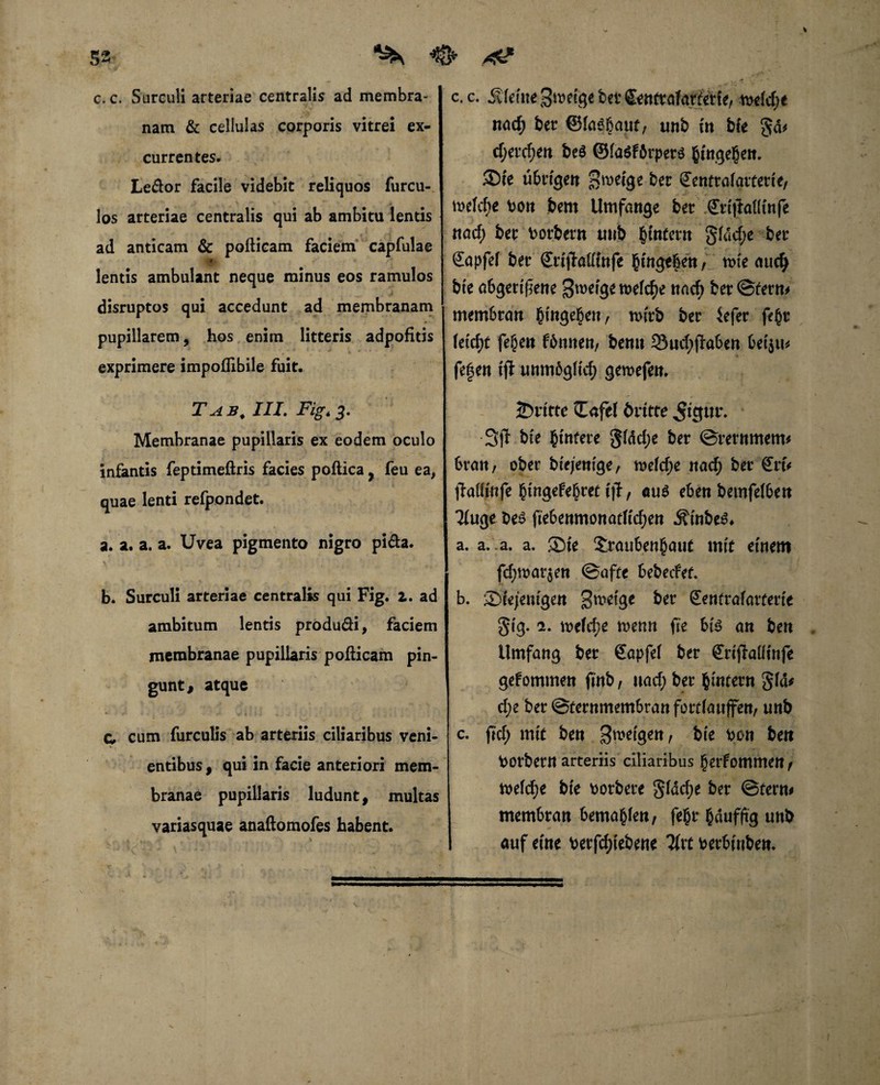 c. c. Surculi arteriae centralis ad membra¬ nam & cellulas corporis vitrei ex¬ currentes* Le&or facile videbit reliquos furcu- los arteriae centralis qui ab ambitu lentis ad anticam & pofticam faciem capfulae lentis ambulant neque minus eos ramulos disruptos qui accedunt ad membranam - . «»* *■ » * • pupillarem, hos enim litteris adpofitis exprimere impoflibile fuit. T ab. III. Fig* 3. Membranae pupillaris ex eodem oculo infantis feptimeftris facies poftica, feu ea, quae lenti refpondet. a. a. a. a. Uvea pigmento nigro pi&a. ^ . + ■ ( \ i ’ • b. Surculi arteriae centralis qui Fig. 2. ad ambitum lentis produ&i, faciem membranae pupillaris pofticam pin¬ gunt, atque C cum furculis ab arteriis ciliaribus veni¬ entibus , qui in facie anteriori mem¬ branae pupillaris ludunt, multas variasquae anaftomofes habent. c.c. kleine Bmeige bet ZentttfMäU, melcf;e nacf) bet unb m bfe gd* cf;etcben be$ ©fa$f6rpet$ btngeben. SDie übrigen §roeige ber Centtalatfertc, mefcfje hon bem Umfange bet £ti|tal(tnfe nacf; bet fcorbern tmb ^intern gldcf;e bet Capfel bet (ErijMinfe ging$ett,'l‘ me aucfj b(e abgerif5ene ^meige mefc^e nacf; bet ©fern# memStan hingegen / nurb bet iefer febt fetcfyt febeit fbnnen, benu 53ucf;jfaben betju* fefen iff unmbgltcf) gemefen. Z afel dritte ,gtgui\ 3jf bte btnfete gldcf;e bet ©rernmem* btan, ober btejenige, melcf;e nacf; bet £rt% jMlinfe bingefebtet ijf, au$ eben bemfefben Tfuge be$ ftebenmonatficben a. a. .a. a. Sie Staubenbaut mit einem fd)mat$en ©aftc bebecfet. b. diejenigen groeige bet Sentrafatterfe gig. 1. mefc^e menn fie bis an ben Umfang bet €apfef bet £rijfaüinfe gekommen finb / uacf; bet büttetn gfd* cf;e bet ©tetnmembranfortlauffen, unb c. fid) mit ben Steigen, bce hon beit fcorbetn arteriis ciliaribus berf ommen / mefcfje bte Sorbete gldcfje bet ©tern# membtan bema^len, febt bdufüg unb auf eine betriebene Tftt betbinben.