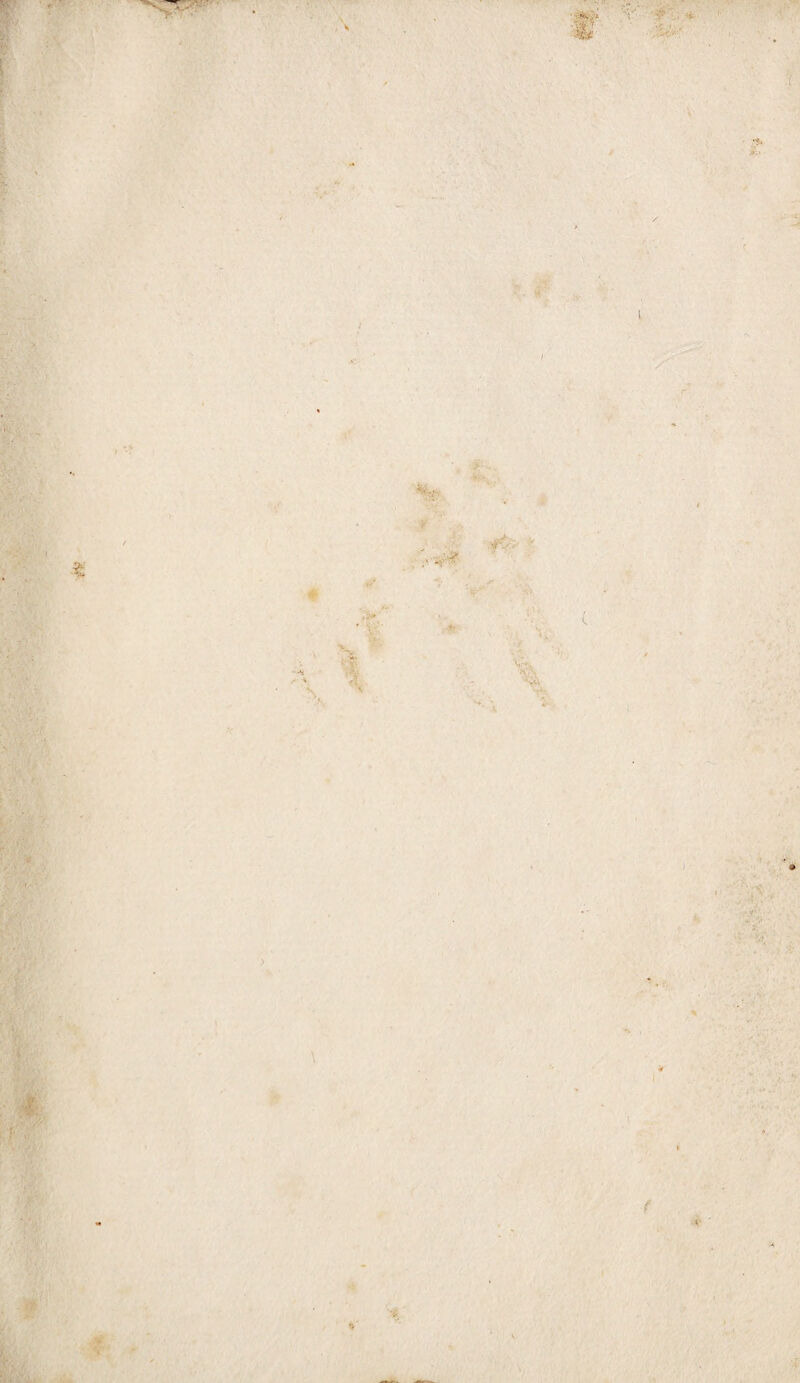 - ' HU. -■ ■ ■' , / ' > I - I - - V / «;■ 1 « ’V»f% \ ■f. ‘