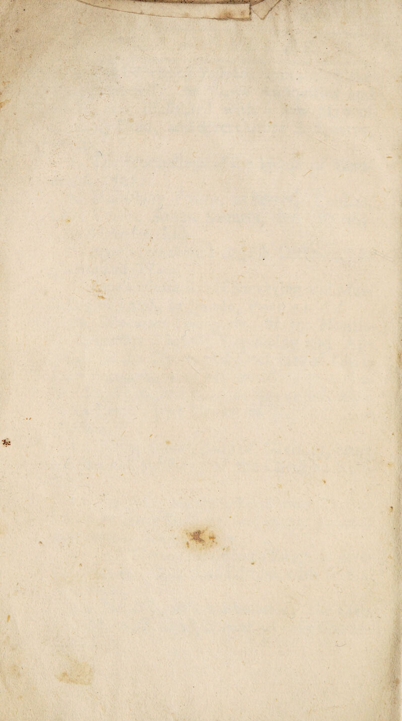 y i §’ V % . . * , % t I • ;