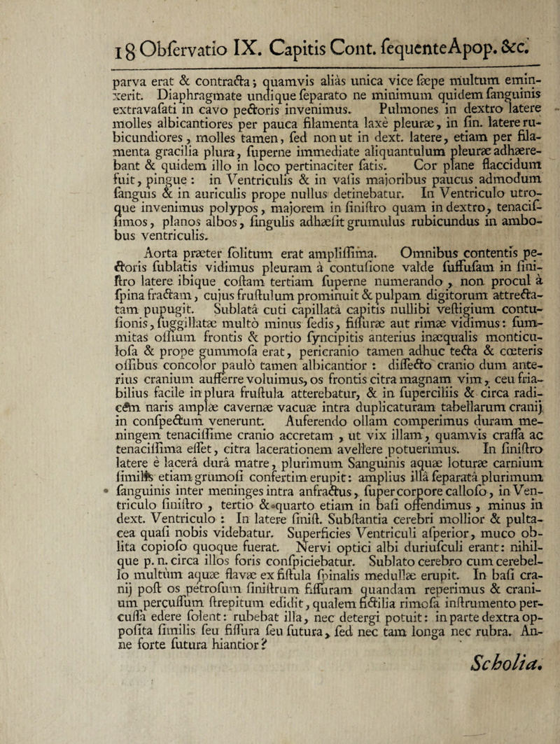 parva erat & contrada •, quamvis alias unica vice fiepe niultum emin- xerit. Diaphragmate undique feparato ne minimum quidem fanguinis extravafati in cavo pedoris invenimus. Pulmones in dextro latere molles albicantiores per pauca filamenta laxe pleurae, in fln. latere ru¬ bicundiores , molles tamen, fed non ut in dext. latere, etiam per fila¬ menta gracilia plura, fuperne immediate aliquantulum pleurae adhaere¬ bant & quidem illo in loco pertinaciter fatis. Cor plane flaccidum fuit, pingue : in Ventriculis & in valis majoribus paucus admodum fanguis & in auriculis prope nullus detinebatur. In Ventriculo utro¬ que invenimus polypos, majorem in finiftro quam in dextro, tenacif- fimos, planos albos, fingulis adhaefit grumulus rubicundus in ambo¬ bus ventriculis. Aorta praeter folitum erat ampli flirna. Omnibus contentis pe¬ doris fublatis vidimus pleuram a contufione valde fuffufam in fini¬ ftro latere ibique collam tertiam fuperne numerando , non procul a. fpinafradam, cujus fruftulum prominuit & pulpam digitorum attreda- tam pupugit. Sublata cuti capillata capitis nullibi veftigium contu- fionis, fuggillatae multo minus fedis, fiiliirae aut rimae vidimus : fum- mitas oilium frontis & portio fyncipitis anterius inaequalis monticu- lofa & prope gummofa erat, pericranio tamen adhuc teda & costeris olfibus concolor paulo tamen albicantior : difledo cranio dum ante¬ rius cranium aufferre voluimus, os frontis citra magnam vim, ceu fria¬ bilius facile in plura frullula atterebatur, & in fuperciliis & circa radi¬ cem naris amplae cavernae vacuae intra duplicaturam tabellarum erani) in confpedum venerunt. Auferendo ollam comperimus duram me- ningem tenacillime cranio accretam , ut vix illam, quamvis cralfa ac tenacilfima ellet, citra lacerationem avellere potuerimus. In finiftro latere e lacera dura matre, plurimum Sanguinis aquae loturae carnium fimilfc etiam grumofi confertimerupit: amplius illa feparata plurimum ° fanguinis inter meninges intra anfradus, fupercorporecallofo , in Ven¬ triculo finillro , tertio &»quarto etiam in bafi offendimus , minus in dext. Ventriculo : In latere finift. Subftantia cerebri mollior & pulta- cea quafi nobis videbatur. Superficies Ventriculi afperior, muco ob¬ lita copiofo quoque fuerat. Nervi optici albi duriufculi erant: nihil- que p. n. circa illos foris confpiciebatur. Sublato cerebro cum cerebel¬ lo multum aquae flavae ex flftula (pinalis medullae erupit. In bafi era¬ ni) pofi os petrofum finiftrum fifluram quandam reperimus & crani¬ um percufliim ftrepitum edidit, qualemndilia rimofa inftrumento per- culfa edere folent: rubebat illa, nec detergi potuit: in parte dextra op- pofita firnilis feu fifliira feu futura, fed nec tam longa nec rubra. An¬ ne forte futura hiantior 'i Scholia.