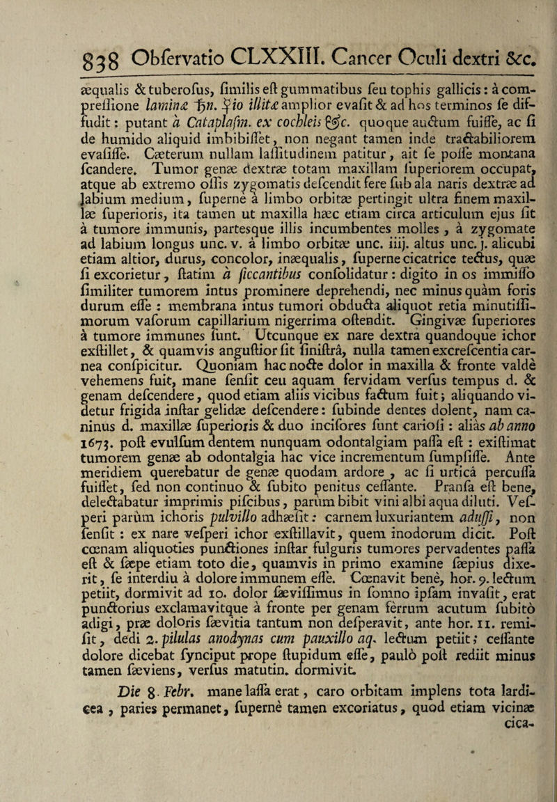aequalis &tuberofus, fimilis eft gummatibus feu tophis gallicis: a com- preflxone lamina F)n. illit£ amplior evafit& ad hos terminos fe dif¬ fudit : putant a Cataplafm. ex cochleis $$c. quoque audum fuifle, ac fi de humido aliquid imbibiftet, non negant tamen inde tractabiliorem evafiife. Caeterum nullam laffitudinem patitur, ait fe polfe montana fcandere, Tumor genae dextrae totam maxillam luperiorem occupat, atque ab extremo ollis zygomatis defcendit fere fub ala naris dextrae ad Jabium medium, fuperne a limbo orbitae pertingit ultra finem maxil¬ lae fuperioris, ita tamen ut maxilla haec etiam circa articulum ejus fit a tumore immunis, partesque illis incumbentes molles , a zygomate ad labium longus unc. v. a limbo orbitae unc. iiij. altus unc. j. alicubi etiam altior, durus, concolor, inaequalis, fuperne cicatrice tedus, quae fi excorietur, ftatim a ficcantibus confolidatur : digito in os immiilo fimiliter tumorem intus prominere deprehendi, nec minus quam foris durum elfe : membrana intus tumori obduda aliquot retia minutifii- morum vaforuin capillarium nigerrima oftendit. Gingivae fuperiores a tumore immunes lunt. Utcunque ex nare dextra quandoque ichor exftillet, & quamvis anguftiorfit finiftra, nulla tamen excrefcentia car¬ nea confpicitun Quoniam hac node dolor in maxilla & fronte valde vehemens fuit, mane fenlit ceu aquam fervidam verfus tempus d. & genam defcendere, quod etiam aliis vicibus fadum fuit; aliquando vi¬ detur frigida indar gelidae defcendere: fubinde dentes dolent, nam ca¬ ninus d. maxillae fuperioxis & duo incifores firnt cariofi : alias ab anno 1675. poft evulfum dentem nunquam odontalgiam paffa eft : exiftimat tumorem genae ab odontalgia hac vice incrementum fumpfiife. Ante meridiem querebatur de genae quodam ardore , ac fi urtica percufta fuilfet, fed non continuo & fubito penitus ceftante. Pranfa eft bene, deledabatur imprimis pifcibus, parum bibit vini albi aqua diluti. Veft. peri parum ichoris pulvillo adhaefit; carnem luxuriantem aduffi, non fenfit : ex nare vefperi ichor exftillavit, quem inodorum dicit. Poft cosnam aliquoties pundiones inftar fulguris tumores pervadentes pafta eft & faepe etiam toto die, quamvis in primo examine faepius dixe¬ rit, fe interdiu a dolore immunem effe. Cocnavit bene, hor. 9. ledum petiit, dormivit ad 10. dolor faeviflimus in fomno ipfam invafit, erat pundorius exclamavitque a fronte per genam ferrum acutum fubito adigi, prae doloris faevitia tantum non defperavit, ante hor. 11. remi- fit, dedi 2. pilulas anodynas cum pauxillo aq* ledum petiit; celfante dolore dicebat fynciput prope ftupidum efle, paulo poft rediit minus tamen faeviens, verfus matutin. dormivit. Die ft .Fcbr* mane lafla erat, caro orbitam implens tota lardi- €ea , paries permanet, fuperne tamen excoriatus, quod etiam vicinae cica-