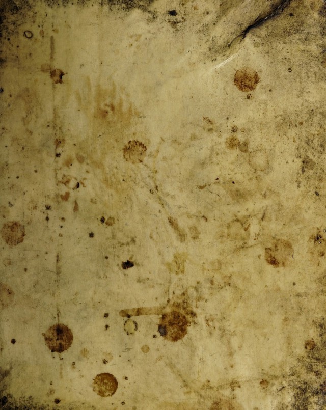 digitised image 1