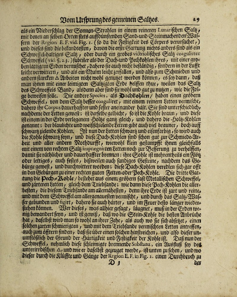 -  ■•<*■ um*. - —4 . « t m « “*■**•*■■*•*’“■' * tm - ■ 1 - ’ n r ‘ m old ein Sftieberfchlag Der ©onnew©trahlen in einem reineren Lunariftyen ©afij, mit Denen an fefben Orten fietö auffbüngenben ©anbrnnb ©tetnmachenben‘2ßaf* fern Der Region E.F.vid.Fig. i. (fo Da Die gegigfeit beb görperb »erurfachet,) wnD biefeb finD Die befanbtegen, Daoon Die erfre ©atfung nichts anberb finD alb ein ©chwcffebhaltigeb ©all , oDer Durch ein grobes vi&rioliffheb ©alij coagulirter ©cbweffef (vid. §. z j.) fubtiler alb Der Sadgunb ^Jecbfo(>fen ibreb, mit einer gro* ben lätfigren geben »ermtffhet, Daf>ero fte auch nicht begänbig, fonDern in Der Sufft (eicht »erwittet n, unD alb ein Sdlulm leicht jerfallen , unD alfo jum ©chmicben unD anDern ffarcfen a Slrbeifcn nicht wohl genutet werben tonnen, eb fei) Dann, Dag man ihnen mit einer (eimigten ©allsten ©rbe bellten thue , weilen Dab ©alif beb ©cgweffelb Q5anD, albDenn aber ffnb ftc wohl unD gut ju nutzen, wie Diego!* ge beweifen folle. Sie anDere Species, alb jDadjtohlen / haben einen grobem ©chweffel, »on Dem ©alff beffer coagulffet, mit einem reinem Setten »ermtfebt, Dahero ihr Corpus Dauerhafter unD fefter aneinanDer hält, ©ie jinD unferfchiebltcb, nachbeme Der Setten geweg; rgberfeloegelbicbt, foig Die ^elge braun, unDDiefe ijt einem in Der grDe »erlegenem >£ol|e ganif gleich, unD Dahero Die -öcl^ftoblen genannt; Der btaulichteunbweigfcbielenbe Setten gibt auch Piel brauner, Dochauff fthwarh jielenDe Äoblen. nun Der Setten fchwarif unD eifenfarbig, fo wirb auch Die Äohle fchwait fetm, unD Diefe Sacb*$of)len finD fchon gut jur ©chmtebe*2lr* beit unD aller anDern 9?othburfft, wiewohl flein geffampfft ihnen gleichfallb mit einem »on rechten ©al^irapragnirten Setten noch jurQJefferung ju »erhelffen, Damit fte räthlicher unD Dauerhaffter brennen: ihre ©ohle ift mehrentheilb ein glöfc ober lettigeb, auch fefteb, bigweilen auch fanbtgeb ©egetne, nachbem Dab @e* bürge gewejt, unD Durchwittert worben; Diefe Sach*$oblen oereblen (ich gar oft in Den ©ebürgen ju einer rechten guten gettemober ^ech^ohle. Sie Dritte ©at* tungbie pecb^Äofg«/ begehet aub einem gräbern fag ©ietallifchen ©cbweffef, unD järteren Setten, gleich Dem SriebfanDe; wie Dann Diefe ^ech^ohlen Die aller* hegen, Die Diefem Sriebfanbe am aäernähegen, Denn ihre grDe ig jart unD reine, unD mit Dem ©chweffel am allergenauegen oermifebt, unD Durch Dab ©ali^Baf* fergebunbenunDfigirt, Dahero fte auch härter, unD imgeuerbeffo länger wieber* gehen fbnnen. 2ßer biefeb, was allbtcr gefagt, läugnet, muf in Der grben we* nigbewanbertfepn, unD tffgewig, Dag wo Die ©fein^ohle Die hegen Anbrüche hat, Dafelbg wirb man fo wohl an ihrer gehe, alb auch wo ge geh abfeifet, einen folcben garten fegmierigten, unD mit Dem ‘Sriebfanbe »ermifchten Setten an treffen, auch jum öfftern gnben, Dag ge über einen folchen bingreteben, unD alfo Dtefer un* umgöglich Der ©runb Der *£>arttgfeit unD gegigfeit Der Äofge ig. Sag nun Der ©chweffel, nehmlich Diefe fchleimtgfe brennenbcSubftanz, ein 5lubgug fet) De4 unterirrbifchen a, unD wie er Dafelbg gejeuget werbe, iffuntenjufeben, unD wo l>tefev Durch Die Älüffte unD ©änge Der Region lf. in Fig. i. einen Surchbruch ju iD 3 . fe»