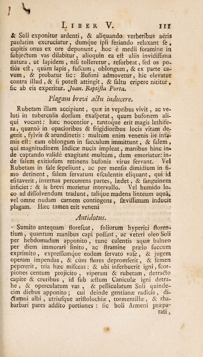 ■ <& Soli exponitur ardenti, & aliquando verberibus aeria paulatim excruciatur, dumque ipfi feriando relaxant fe, capitis onus ex ore deponunt, hoc e medii foramine in fubjeftum vas dilabitur, alioquin ea eft aliis invidiflima natura , ut lapidem , nifi tolleretur, reforbeat, fed os po¬ tius eft, quam lapis, fufcum , oblongum, & ex parte ca¬ vum , & probatur fic: Bufoni admovetur, hic elevatur contra illud , & fi poteft attingit, & faltu eripere nititur, lic ab eis experitur. Joan. Baptijia Porta. Plagam brevi a&u inducere. Rubetam illam accipiunt, qus in vepribus vivit, ac ve- luti in tuberculis dorfum exafperat, quam bufonem ali¬ qui vocant: htec nocentior, tantoque erit magis lethife- ra, quanto in opacioribus & frigidioribus locis vitam de¬ gerit , fylvis & arundinetis : multum enim venenis iis infa¬ mis eft: eam oblongum in facculum immittunt, & falem, qui magnitudinem Indicas nucis impleat, manibus hinc in¬ de captando valide exagitant multum, dum emoriatur: in¬ de falem exitiofum retinens bufonis virus fervant. Vei Rubetam in fale fepeliunt, ac per menfis dimidium in fi¬ mo detinent, falem fervatum efculentis eliquant, qui id efitaverit, internas percurrens partes, hedet, & fanguinem inficiet: & is brevi morietur intervallo. Vel humido lo¬ co ad diffolvendum tradunt, talique madens linteum aqua, vel omne nudam carnem contingens, fasvilTimam inducis plagam. Haec tamen erit veneni Antidotus. Sumito antequam florefcat, foliorum hyperici floren¬ tium , quantum manibus capi pofiint, ac veteri oleo Soli per hebdomadam apponito, tunc calentis aquas balneo per diem immorari finito, ac ftramine pndo fuccum exprimito, exprelfumque eodem fervato vafe , & jugem operam impendas, & cum flores depromferit, & femen pepererit, tria hasc mifceas: & ubi inferbuerit igni, fcor- piones centum projicito , viperam & rubetam , detra&o capite & cruribus , id fub aeftum Caniculas igni detra¬ he , & operculatum vas , & pelliculatum Soli quinde¬ cim diebus apponito; cui deinde gentianis radicis, di- (ftamni albi , utriufque ariltolochias, tormentillas, & rha- barbari pares addito portiones : fic boli Armeni praepa¬ rati ,