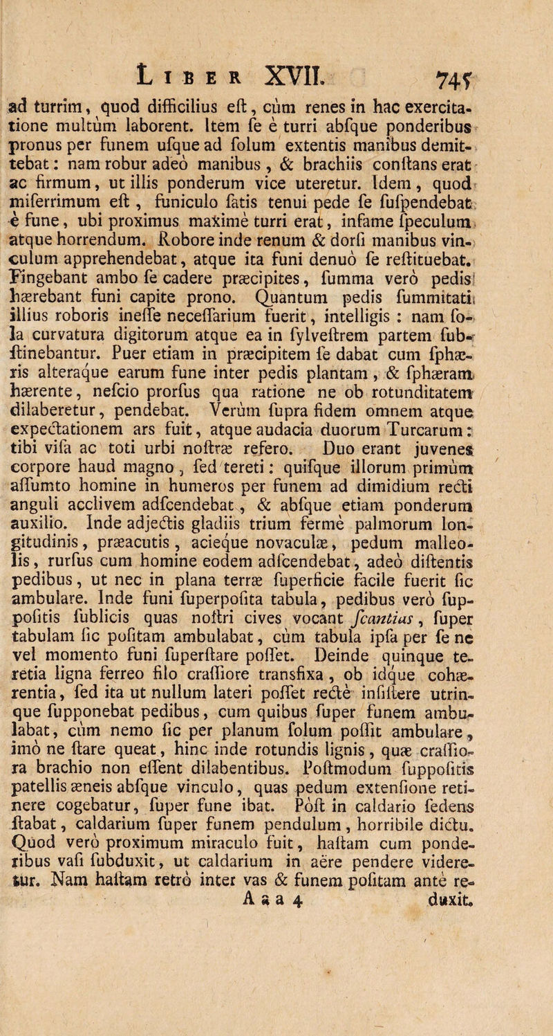 ad turrim, quod difficilius eft, cum renes in hac exercita¬ tione multum laborent. Item fe e turri abfque ponderibus pronus per funem ufquead folum extentis manibus demit¬ tebat: nam robur adeo manibus, & brachiis conftans erat ac firmum, ut illis ponderum vice uteretur. Idem, quod miferrimum eft , funiculo fatis tenui pede fe fufpendebat e fune, ubi proximus maXime turri erat, infame lpeculum atque horrendum. Robore inde renum & dorfi manibus vin¬ culum apprehendebat, atque ita funi denuo fe reftituebat. Fingebant ambo fe cadere praecipites, furnma vero pedis haerebant funi capite prono. Quantum pedis fummitatl illius roboris ineffe necelfarium fuerit, intelligis : nam fo- la curvatura digitorum atque ea in fylveftrem partem fub-r ftinebantur. Puer etiam in praecipitem fe dabat cum fphac- ris alteraque earum fune inter pedis plantam, & fphaeram haerente, nefcio prorfus qua ratione ne ob rotunditatem dilaberetur, pendebat. Verum fupra fidem omnem atque expedationem ars fuit, atque audacia duorum Turearum: tibi vifa ac toti urbi nofttae refero. Duo erant juvenes corpore haud magno, fed tereti: quifque illorum primum alfumto homine in humeros per funem ad dimidium recti anguli acclivem adfcendebat, & abfque etiam ponderum auxilio. Inde adjedis gladiis trium ferme palmorum lon¬ gitudinis , praeacutis, acieque novaculae, pedum malleo¬ lis, rurfus cum homine eodem adfcendebat, adeo diftentis pedibus, ut nec in plana terrae fuperficie facile fuerit fic ambulare. Inde funi fuperpofita tabula, pedibus vero fup- pofitis fublicis quas noftri cives vocant fcantius, fuper tabulam lic pofitam ambulabat, cum tabula ipfa per fe nc vel momento funi fuperftare pollet. Deinde quinque te¬ retia ligna ferreo filo craffiore transfixa , ob idque cohae¬ rentia, fed ita ut nullum lateri poffet rede infillere utrin- que fupponebat pedibus, cum quibus fuper funem ambu¬ labat, cum nemo fic per planum folum polfit ambulare, imo ne ftare queat, hinc inde rotundis lignis, quae cralfio- ra brachio non effient dilabentibus. Poftmodum fuppolitis patellis aeneis abfque vinculo, quas pedum extenfione reti¬ nere cogebatur, fuper fune ibat. Poft in caldario fedens ftabat, caldarium fuper funem pendulum, horribile didu. Quod vero proximum miraculo fuit, haftam cum ponde¬ ribus vafi fubduxit, ut caldarium in aere pendere videre¬ tur. Nam haftam retro inter vas & funem pofitam ante re- A a a 4 duxit.