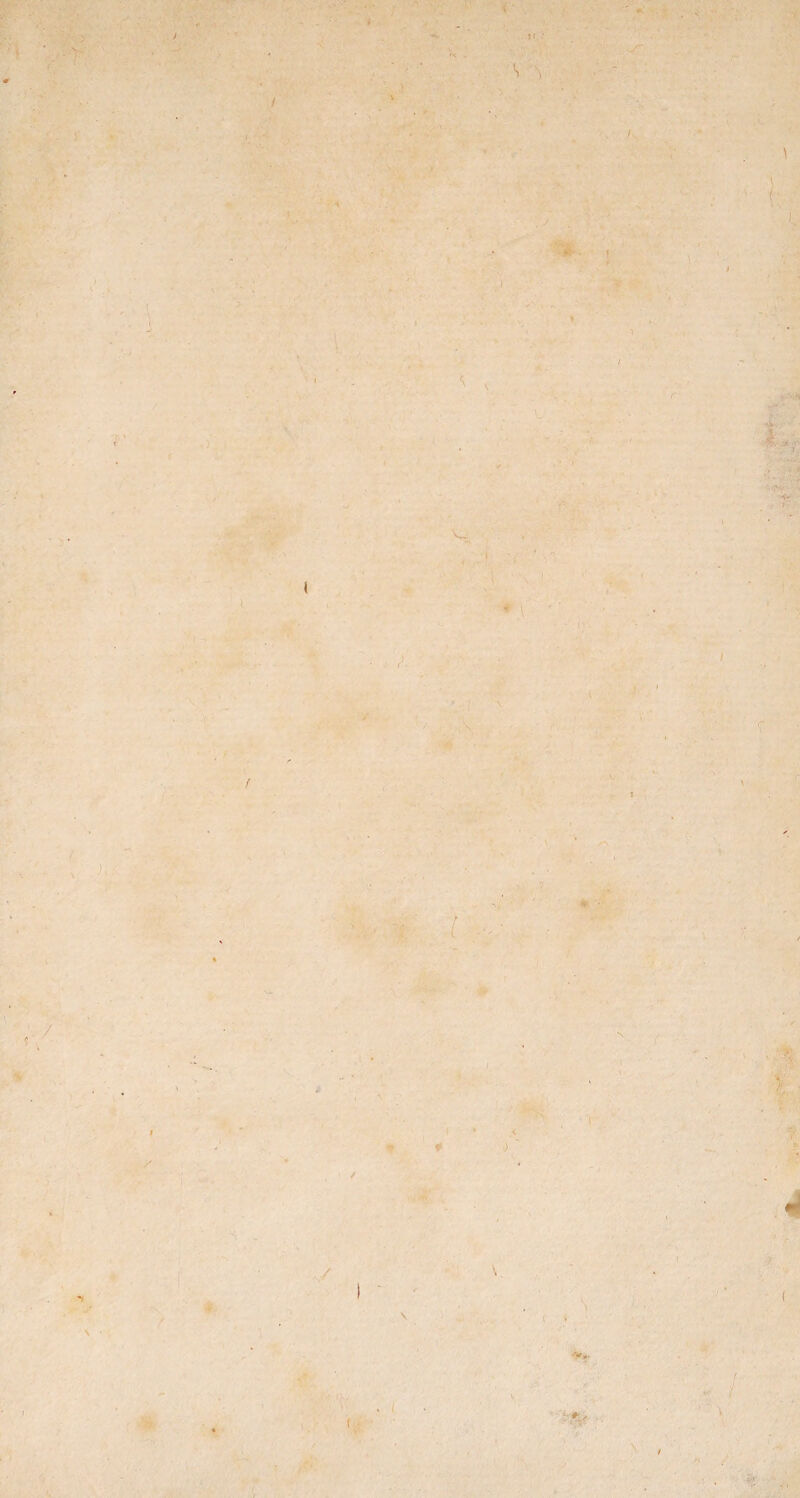 I * . • ( ) t l. tr 1 Jf i t \ V. r i r / \ i 4 ( . i f • ' ' \