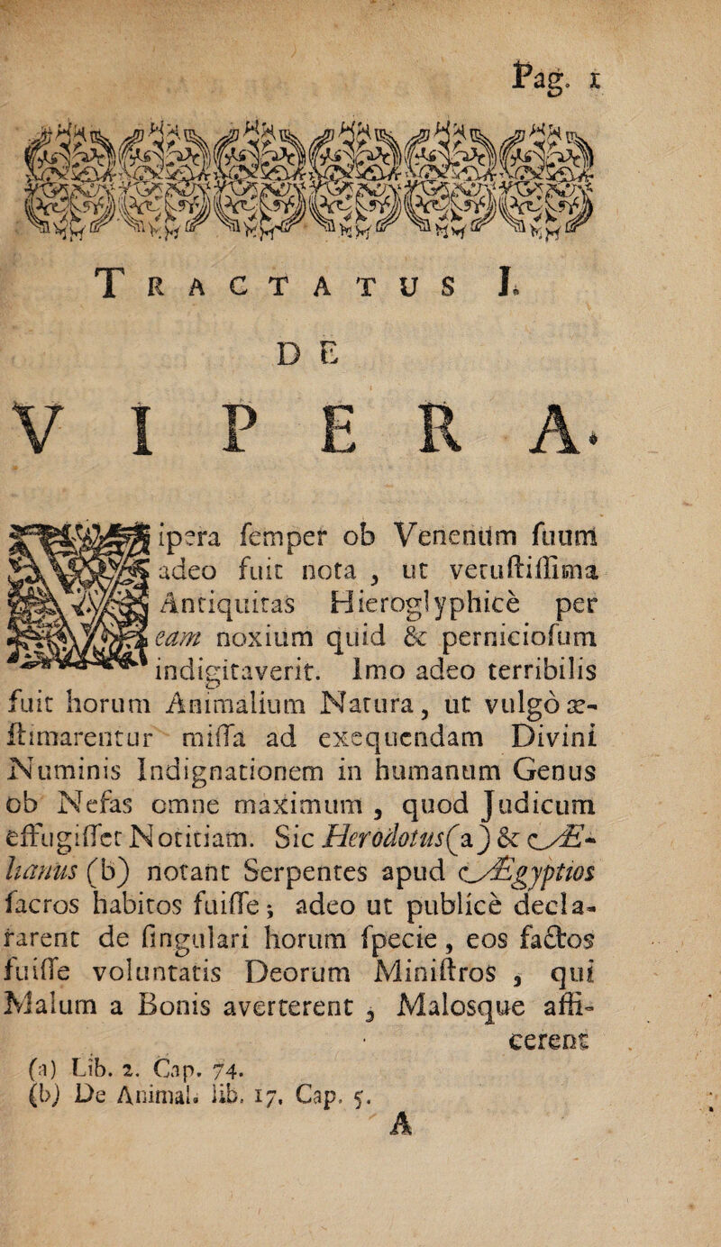 Pag. Tractatus I, D E ipera femper ob Venenum fuunt adeo fuit nota , ut vetuftiffima Antiquitas Hieroglyphice per eam noxium quid & perniciofum indigitaverit. Imo adeo terribilis fuit horum Animalium Natura, ut vulgo ae- fhmarentur milia ad exequcndam Divini Numinis Indignationem in humanum Genus ob Nefas omne maximum , quod Judicum effugiffetNotitiam. Sic HerodotusQaj&c hamis (b) notant Serpentes apud <Cd£gyptios facros habitos fui fle *, adeo ut publice decla¬ rarent de fingulari horum fpecie, eos faftos fuifle voluntatis Deorum MiniftroS 3 qui Malum a Bonis averterent 3 Malosque affi» cerent (a) Lib. 2. Gap. 74- (b) De Animal» lib, 17, Gap, 5. A