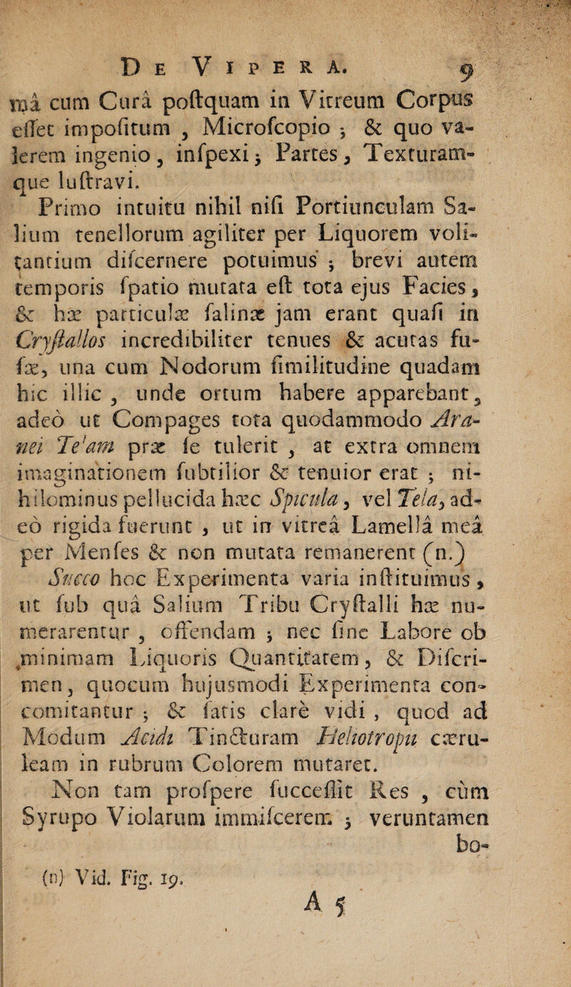 mi cum Cura poftquam in Vitreum Corpus effec impofitum , Microfcopio 5 & quo va¬ lerem ingenio, infpexi* Partes, Texturam¬ que luftravi. Primo intuitu nihil nifi Portiunculam Sa¬ lium tenellorum agiliter per Liquorem voli¬ tantium dilcernere potuimus •, brevi autem temporis fpatio mutata eft tota ejus Facies, & has particulas falinas jam erant quafi in Cryfiallos incredibiliter tenues & acutas fu- ixy una cum Nodorum fimilitudine quadam hic illic 3 unde ortum habere apparebant 5 adeo ut Compages tota quodammodo Ara¬ nei Te!am pras fe tulerit , at extra omnem imaginationem fubtilior & tenuior erat ; ni¬ hilominus pellucida hasc Spicula, vel Tela, ad¬ eo rigida fuerunt , ut in vitrea Lamella mea per iVlenfes & non mutata remanerent (n.) Sncco hoc Experimenta varia inftituimus * ut fob qua Salium Tribu Cryftalli has nu¬ merarentur 5 offendam * nec fine Labore ob jnmimam Liquoris Quantitatem, & Difcri- men, quocum hujusmodi Experimenta con- comitantur 5 & fatis clare vidi , quod ad Modum Acidi Tinfturam Tieliotropn cseru- leam in rubrum Colorem mutaret. Non tam profpere fucceflit Res , ciun Syrupo Violarum immifcerem 5 veruntamen bq- A 5 • (n) Vid. Fig. 19.