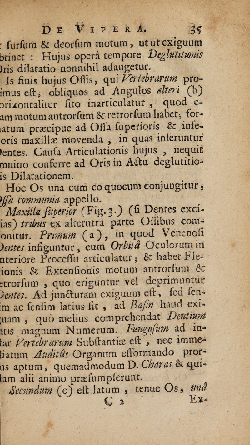 : furfum & deorfum motum, ut ut exiguum btinet : Hujus opera tempore Deglutitionis )ris dilatatio nonnihil adaugetur. Is finis hujus Offis, qui Vertebrarum pro- imus eft * obliquos ad Angulos alteri (h) orizontaliter fito inarticulatur , quod e- am motum antrorfum &c retrorfum habetj for* iatum praecipue ad Ofia fuperioris & infe- oris maxilla movenda , in quas inferuntur >entes. Caufa Articulationis nujus , nequit mnino conferre ad Oris in A£tu deglutitio- is Dilatationem. Hoc Os una cum eo quocum conjungitur s )Jfa communia appello. Maxilla fuperwr (Fig.3.) (fi Dentes exci- ias) tnbus e,x alterutra parte Offibus coni- onitur. Primum (a), in quod Venenofi ferites infiguntur, cum Orbitd Oculorum iri nteriore Procella articulatur $ habet i1 le- ionis & Extenfionis motum antrorfum & strorfuni , quo eriguntur vel deprimuntur Jentes. Ad junfturam exiguum eit, fed fen- im ac fenfim latius fit , ad Bajin haud exi- ;uam , quo melius comprehendat Dentium atis magnum Numerum. Fungofum ad in- tar Vertebrarum Snbftantfe eft , nec imme- [iatum Auditus Organum efiormando pror¬ as aptum 5 quemadmodum D. Charas & qui- lam alii animo prxfumplerunt. Secundum (c) eft latum , tenue Os, ittid C a ' E**