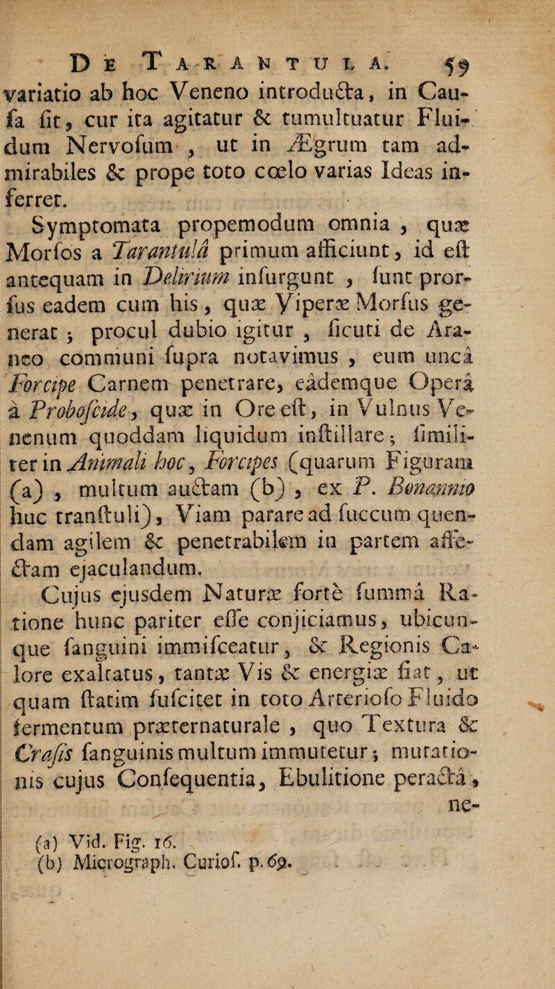 variatio ab hoc Veneno introducta, in Cau- fa fit 5 cur ita agitatur 6t tumultuatur Flui¬ dum Nervofum , ut in VEgrum tam ad¬ mirabiles & prope toto coelo varias Ideas in¬ ferret. Symptomata propemodum omnia , quae Morfos a Tarmtuld primum afficiunt, id eft antequam in 'Ddmum infurgunt , funt pror- fus eadem cum his, qux yiperx Morfus ge¬ nerat 3 procul dubio igitur 3 ficuti de Ara¬ neo communi fupra notavimus , eum unci Forcipe Carnem penetrare, eademque Operi a Probofcide, qux in Ore eft, in Vulnus Ve¬ nenum quoddam liquidum inftillare* fimili- ter in Animali hoc, Forcipes (quarum Figuram (a) , multum anctam (b) 3 ex P. Bonamm huc tranftuli), Viam parare ad fuccum quen- dam agilem & penetrabilem in partem affe- £tam ejaculandum. Cujus ejusdem Naturae forte fumma Ra¬ tione hunc pariter e fle conjiciamus, ubicun¬ que fanguini immifeeatur, & Regionis Ca¬ lore exaltatus, tantx Vis & energix fiat5 ut quam ftatim fufeitet in toto Arteriofo Fluido fermentum prxternaturale , quo Textura Se Crafis fanguinismultum immutetur-, mutatio¬ nis cujus Confequentia* Ebulitione perafta* ne- (a) Vid. Fig. 16. (b) Micrograph. Curiof.