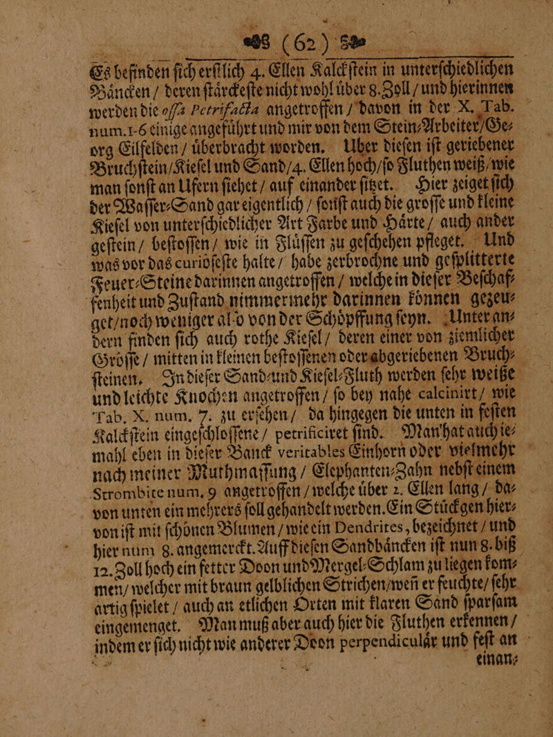 Bänden / deren ſtärckeſte nicht wohl über g. Zoll / und hierinnen