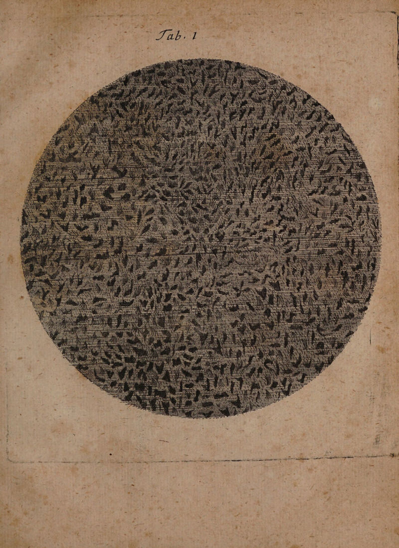 0 Mn 115 ui IH 5 — a — . — Be — ͤ — = EA 2 . N PII — — Hi il 1) 1 A — . 0 ee — N SH wege f Fir I I 11 Ill 0 Hl 10 ! E MA In iM Au li 1 0 | {Ill 1 N 0 BEN 1 HN 0 100 ii IH U IN 7 N 1 N ji ii Hl a! Li M — e