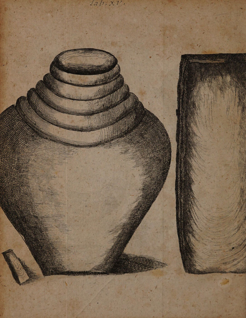 ,,, e,. LEE INES n N N N; AN N N