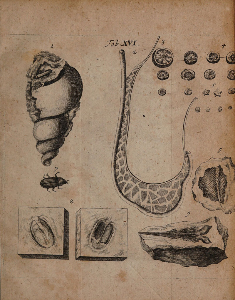 — — nn 3 | = NN 0 N | 1 x wi N a 5 u —— — — — — nt ak 8 8 Ba a P 7 ® K . — — bl z