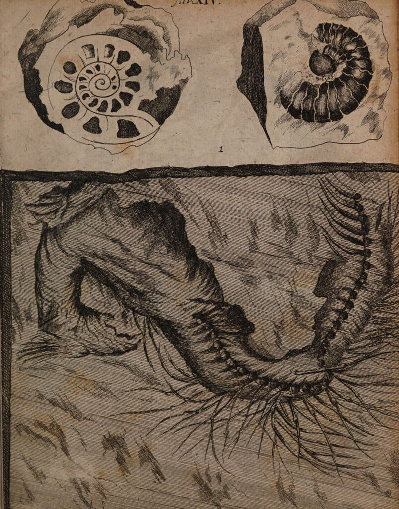 i 0 44 SS 3 II SZ AKN IF 0 fl . , A 1 L ER IM 1