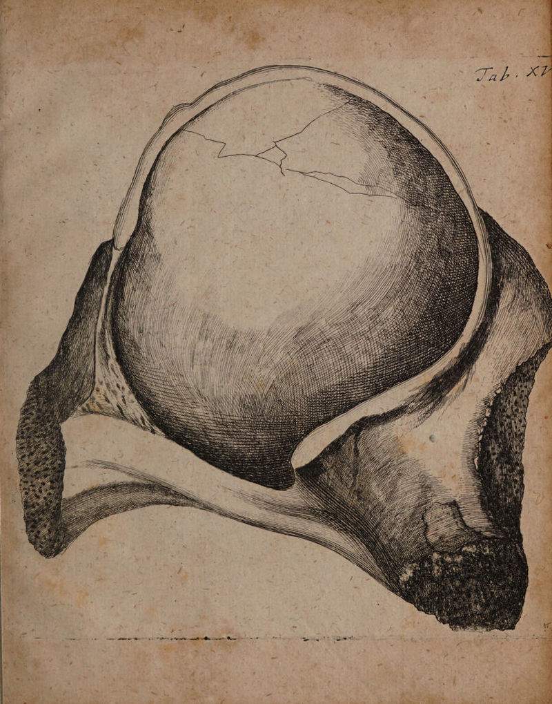 ir, > E 8 AN N N 52 N is 995 5 AN Sur N 0 all \ 10 N 5 \ 8 N N - 7 / . RN UN y 1 ,, i Sa 8 4 U g 5 0 ö 0 5; 6 1 Ih 0 Mh 76 * 900 4 * — #7 5 — * — ———— ie —— 2 5 N „ ee ray Er ar I . 5 * £ * 8 — 2 * De, > 9 N > * er * 8 7 — . — 0 1 * „ iu 1 ** * * 1 * . — * x . op = 5 5 I e. * — . a u 184 V. f} N 1 = | Zr N 1