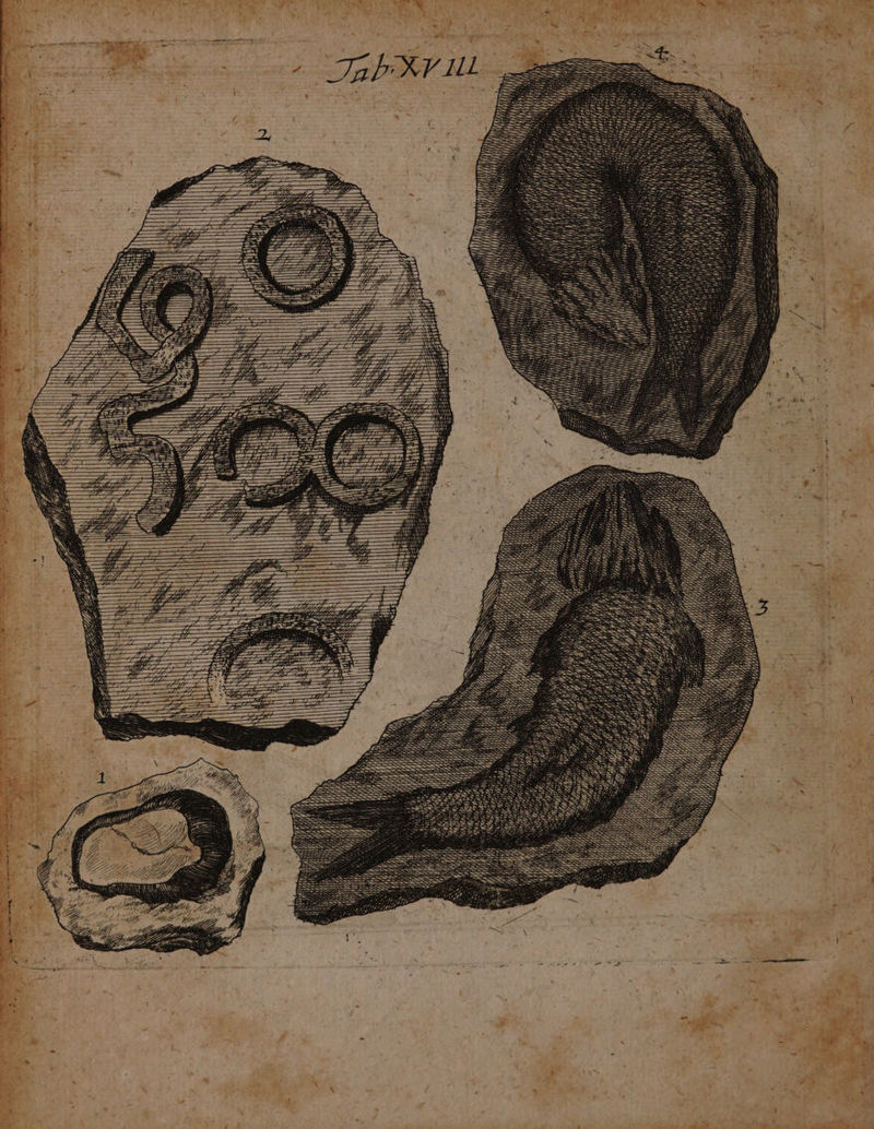 . ra. ana == 2 „ == 8 — SER =