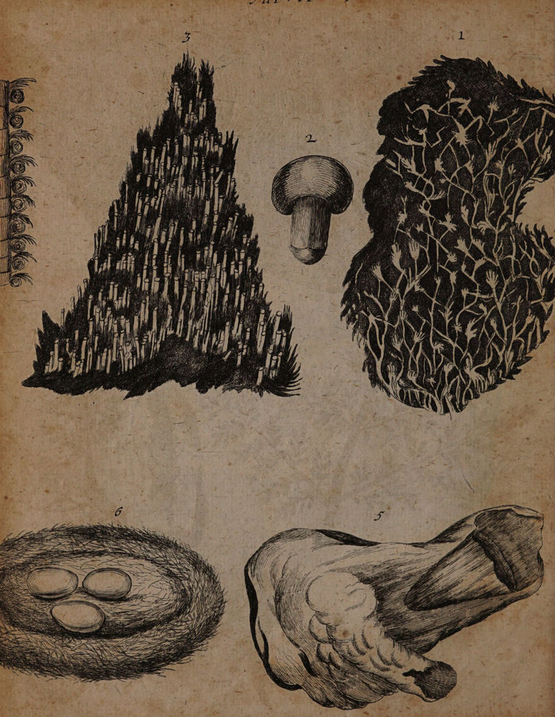 > 5 — > e Wr err eee ec. Wh