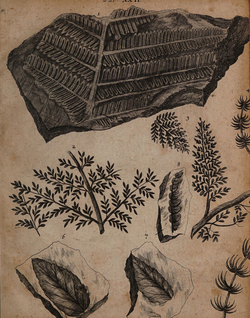 HAT nt IHR N N EN RD DR N 7 * WE RN; 72 7 , T, PIERRE, WED 7 2 9 2 4