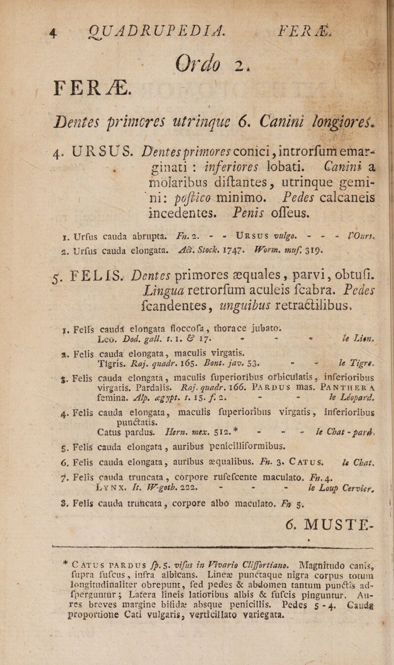 Ordo 2. FERvE. ' 1 T 3.|g§| ' ' * Dentes primores utrinquc 6. Canini longiores. 4, U R S U S. Dentes primores conici, incrorfum emar» ginati : inferiores lobati. Canini a molaribus diflantes^ utrinque gemi¬ ni: pojiico minimo. Pedes calcaneis incedentes. Penis offeus. I. Urfus cauda abrupta. Fn.i. - - Ursus vulgo. - - - VOtirs. A. Urfus cauda elongata. Aet.Stock. 1747. IVorm. muf. $V). 5. FELIS. Dentes primores aequales, parvi, obtufi. Lingua retrorfum aculeis fcabra. Pedes fcandentes, unguibus retraclilibus. J. Felis caudS elongata ffoccofa, thorace jubato. Leo. Dod. gall. t.1. 6? 17. - - - U Lien. s. Felis cauda elongata, maculis virgatis. Tigris. Roj. quadr. 165. Bont* jav. 53* - - h Tigrt. S. Felis cauda elongata, maculis fuperioribus orbiculatis, inferioribus virgatis. Pardalis. Raj. quadr. 166. Pardus mas. Panthera femina. Alp. <egypt. t.is.f.2. - - le Leopard. 4. Felis cauda elongata, maculis fuperioribus virgatis, inferioribus puncfiratis. Catus pardus. Hem. mex. Sii.* - - le Chat-pari. 5. Felis cauda elongata , auribus pcnicilliformibus. 6. Felis cauda elongata, auribus aequalibus. Fn. 3. Catus. h Chat. i. Felis cauda truncata, corpore rufefcente maculato. Fn. 4. Lynx. It. W-goth.111. - le Loup Cervkr, S. Felis cauda truncata, corpore albo maculato. Fn 5. 6. MUSTE- * Catus pardus fp. 5. vi fas in Vivario Clijfortiano. Magnitudo canis, fupra fufcus, infra albicans. Lineae pumftaque nigra corpus totum longitudinaliter obrepunt, fed pedes & abdomen tantum pundtis aci- fperguntur; Latera lineis latioribus albis & fufcis pinguntur. Au¬ res breves margine bifida; absque penicillis. Pedes 5-4. Gaudg proportione Cati vulgaris, vertidllato variegata.