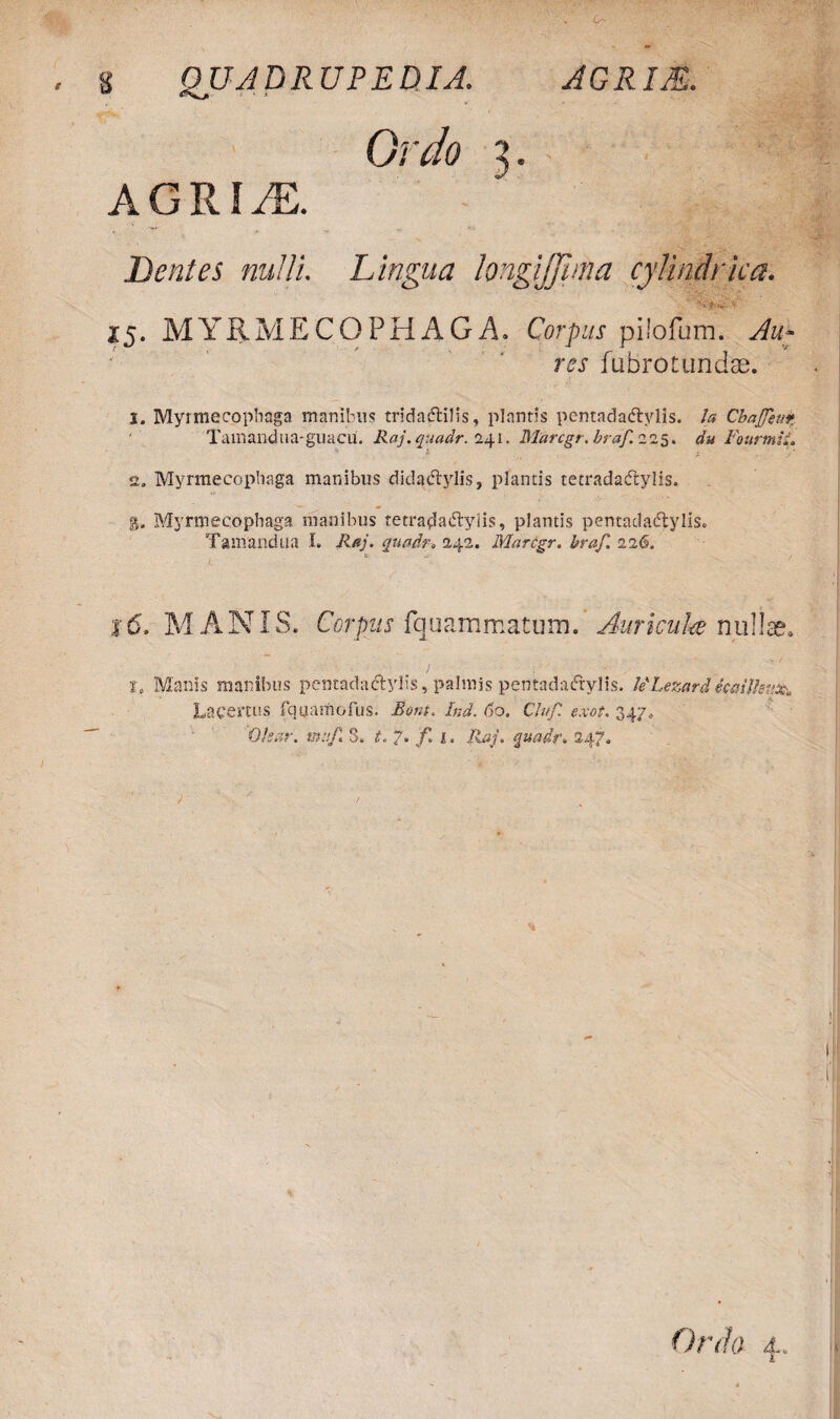 Grdo 3. Dentes nulli Lingua longijjima cylindrica. x5. MYRMECOPHAGA. res fiibrotundse. j. Myrmecophaga inanibus tridadlilis, plantis pemadadtylis. Ia ChaJJeut Tamandua-guacu. Raj.quadr. 241. Blarcgr.braf.21s. da FourmiL a. Myrmecophaga manibus didaclylis, plantis tetradadlylis. g. Myrmecophaga manibus tetra^a^yiis, plantis pentadadtylis. Tamandtia I. Raj. quadr* 242. Marcgr. braf. 116. t. Manis manibus pentadactylis, palmis pentadactylis. ULezardtcafflenx* Lacertus fquamofus. Boni. Ind. 60. Chf. exot. 347, ‘Olear. m:if. S. t. 7. f 1. Raj. quadr. 247»