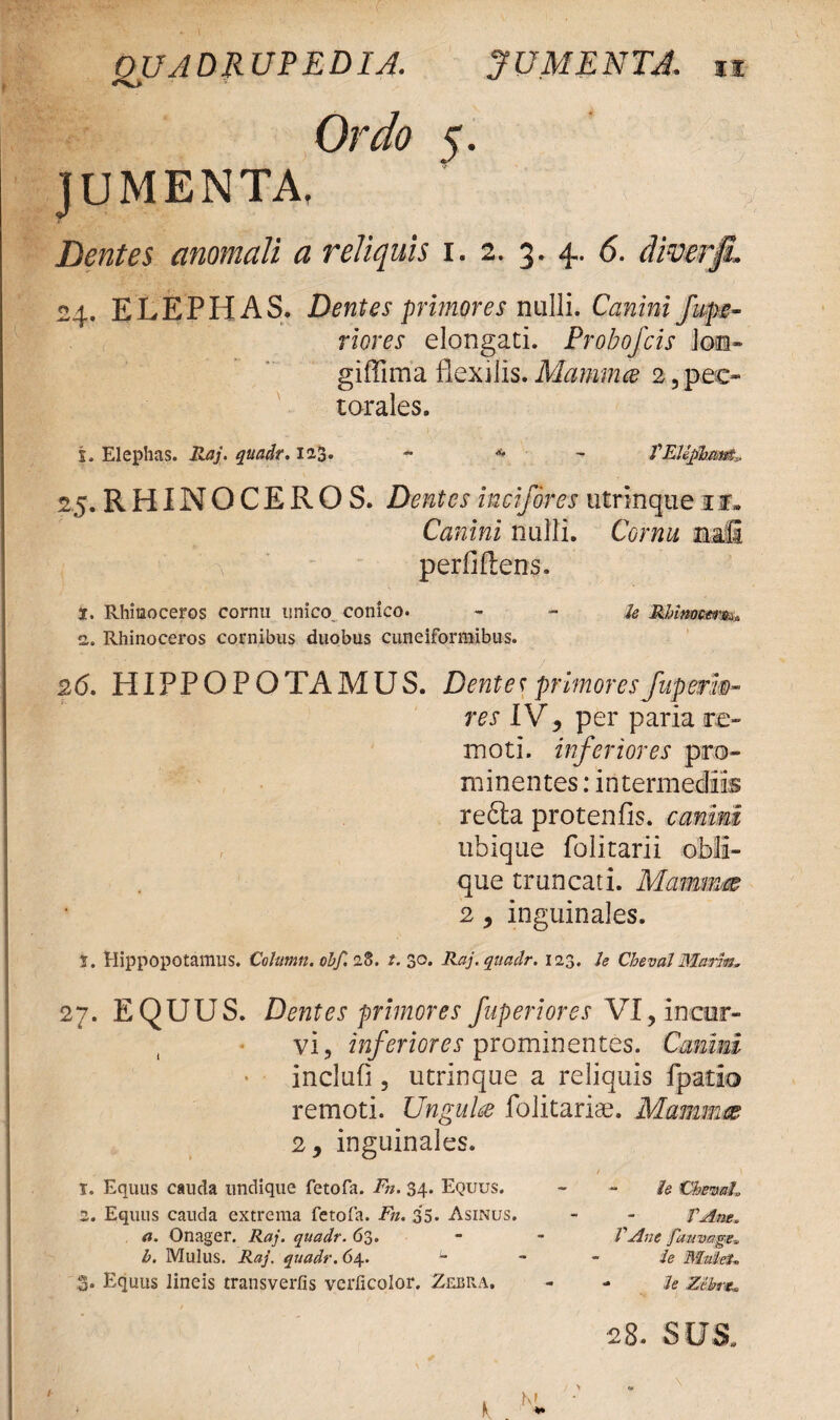 Ordo 5. JUMENTA, Dentes anomali a reliquis 1. 2. 3. 4.. 6. diverfi» «4. ELEPHAS. Dentes primores nulli. Canini fupe- riores elongati. Probofcis lon» giffima flexilis. Mamma 2, pec¬ torales. i. Elephas. Raj. quadr. 123. - * - VEUfbaM,, 25. RHINOCEROS. Dentes incifores utrinque it» Canini nulli. Cornu nafi perfidens. 1. Rhinoceros cornu unico, conico. - - U Mhimrnm* 2. Rhinoceros cornibus duobus cuneiformibus. 26. HIPPOPO TA MUS. Dente r primores fup er fa¬ ves IV, per paria re¬ moti. inferiores pro¬ minentes : intermediis re£la protenfis. canini ubique folitarii obli¬ que truncati. Mammm 2, inguinales. 1. Hippopotamus. C0lumn.0bf.1Z. t. 30. Raj. quadr. 123. h Cheval Marm. 27. EQUUS. Dentes primores fuperiores VI, incur¬ vi, inferiores prominentes. Canini inclufi 3 utrinque a reliquis fpatio remoti. Unguite folitariae. Mamnice 2, inguinales. T. Equus cauda undique fetofa. Fn. 34. Equus. - - U CbevaL 2. Equus cauda extrema fetofa. Fn. 35* Asinus. - - VAm, a. Onager. Raj. quadr. 63. ■ ■ VAne fauvage» b. Mulus. Raj. quadr. 64. u - - ie MuleU 3. Equus lineis transvertis verficolor. Zebra. - - je ztbrt*. 28. sus. /•