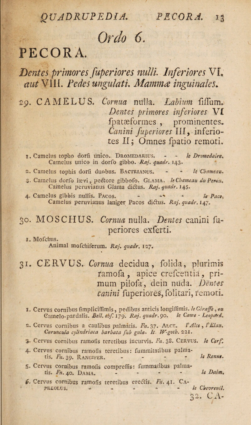 Ordo 6. PECORA. Dentes primores fuperiores nulli. Inferiores VI. aut VIiL Pedes ungulati. Mamma inguinales. 29. CAMELUS. Cornua nulla. Labium fiffum*. Dentes primores inferiores V£ fpataeformes , prominentes. Canini fuperiores III, inferio» tes II; Omnes fpatio remori. s. Camelus topho dorli linico. Dromedarius. le Dromedalrt, Camelus unico in dorfo gibbo. Raj. quadr. 143. 2. Camelus tophis dorli duobus. Bactrianus. h Chcmean. 3. Camelus dorfo Ite vi, pedtore gibbofo. Glama. leChameau duPewtu Camelus peruvianus Glama didhis. Raj. quadr. 145. 4. Camelus gibbis nullis. Pacos. - * h Pace? Camelus peruvianus laniger Pacos didhis. Raj. quadr. 147. 30. MOSCHUS. Cornua nulla. Dentes canini fu- periores exferti. 1. Mofchus. Animal mofchiferum. Raj. quadr. 127. 31. CERVUS. Cornua decidua, folida, plurimis ramofa, apice crefcentia, pri¬ mam pilofa, dein niida. DenPes canini fuperiores, folitari, remoti. I. Cervus cornibus fimplidlfimis, pedibus anticis longiflimis. le Cdraffe, m Camelo-pardalis. Bell. obf. 179. Raj. quadr. 90. le Came - Leopard. £. Cervus cornibus a caulibus palmatis. Fn. 37. Alce. VAlce , f E!an. Caruncula cylindriaca barbata fub gula. It. JV-gotb. 221. 3. Cervus cornibus ramofis teretibus incurvis. Fn. 38. Cervus, le Csrf. 4. Cervus cornibus ramofis teretibus: fummitatibus palma¬ tis. Fn. 39. Rangifer. - le Renns. 5. Cervus cornibus ramofis compreflis: fummatibus palma¬ tis. Fn. 40. Dama. le Daim. Cervus cornibus ramofis teretibus eredlis. Fn. 41. Ca¬ preolus. » - “ « - h Cievreuil. n 0 ( ' \ „