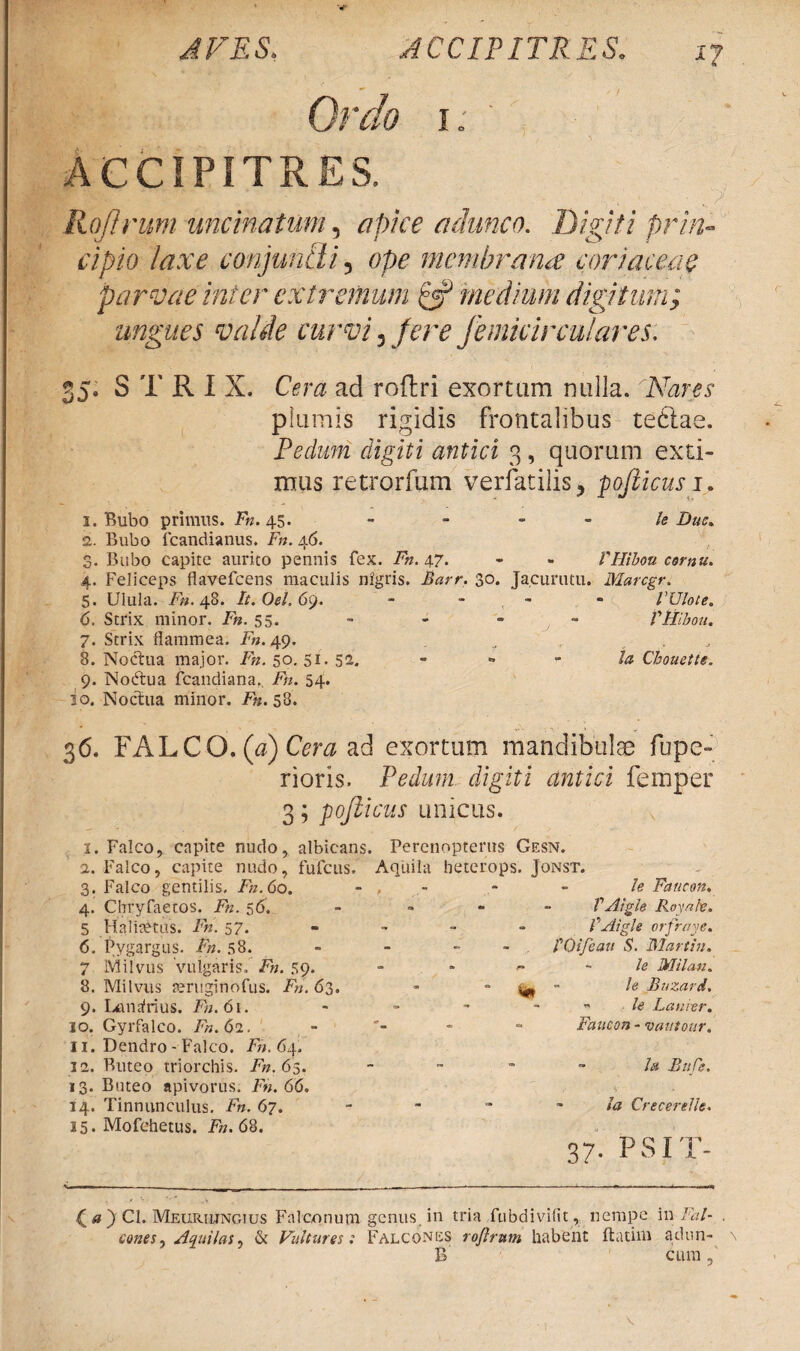 i? Ordo i; ACCIPITRES. Rojlrum uncinatum, apice adunco. Digiti prin¬ cipio laxe conjuncti 5 ope membrana coriaceae parvae inter extremum tjf medium digitum; ungues valde curvi 3 fere femicirculares. 35. S T R I X. Cera ad roftri exortum nulla. Nares: plumis rigidis frontalibus tetiae. Pedum digiti antici 3, quorum exti¬ mus retrorfum verfatilis, pojlicusi. 1. Bubo primus. Fn. 45. - le Duc. 2. Bubo fcandianus. Fn. 46. 3. Bubo capite aurito pennis fex. Fn. 47. - - VHibou comu. 4. Feliceps flavefeens maculis nigris. Barr. 30. Jacurutu. Marcgr. 5. Ulula. Fn. 48. It.Oel.69. - - - VUlote. 6. Strix minor. Fn. 55. - - - - VHibou. 7. Strix flammea. Fn. 49. . 3. Noctua major. Fn. 50.51. 52. Ia Chouette. 9. Noiftua fcandiana.. Fh. 54. 30. Noctua minor. Fn. 58. 36. FALCO, (a) Cera ad exortum mandibulae fupe» rioris. Pedum digiti antici femper 3 5 pofiicus unicus. 1. Falco, capite nudo, albicans. 2. Falco, capite nudo, fufeus. 3. Falco gentilis. Fn.6o. 4. Chryfaetos. Fn. 56. 5 Ha lite tus. Fn. 57. 6. Pygargus. Fn. 58. 7 Milvus vulgaris. Fh. 59. 8. Milvus teruginofus. Fn. 63. 9. Lonafrius. Fn. 6i. 10. Gyrfalco. Fn.62. 11. Dendro- Falco. Fn. 64. 12. Buteo triorchis. Fn.65. 13. Buteo apivorus. Fn. 66. 14. Tinnunculus. Fn. 67. 15. Mofchetus. Fn. 68. Perenopterus Gesn. Aquila beterops. Jonst. le Faiieon. • V Aigle Royalv. ~ VAigle orfraye. - VOifeau S. Martin. le Milan. - “ ^ Buzard. le Lanier. Faucon - vautour. Ia Bufo. Ia Crecerelle. 37. PSIT- £ } Cl. Meiiriungius Falconum genus, in tria fubdivifit, nempe in/v;/- , cones. Aquilas. & Vultures: Falcones rojlrum habent ftatim adun- \ B cum,