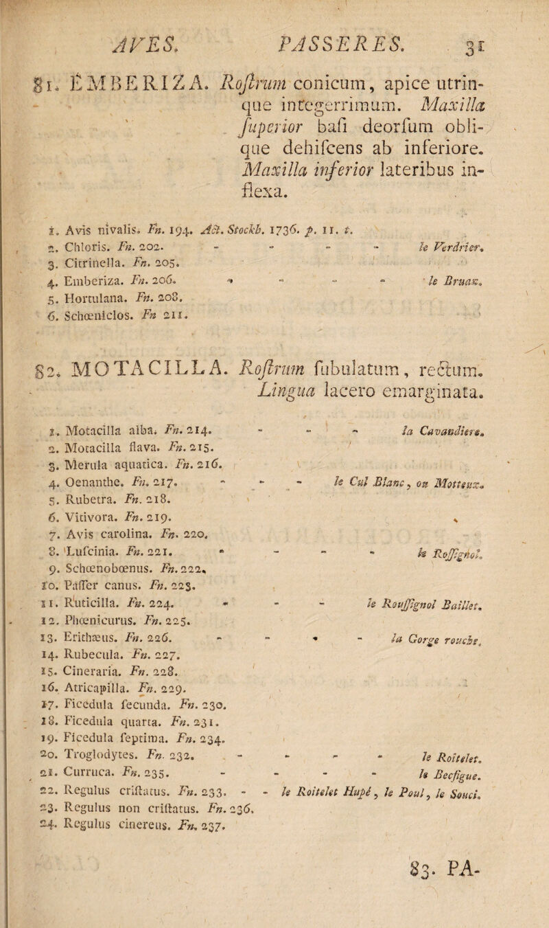 AVES, PASSERES. 31 1. E M B E RIZ A. Rojlnun conicum, apice utrin- que integerrimum. Maxilla J'aperior bafi deorfum obli¬ que dehifcens ab inferiore. Maxilla inferior lateribus in¬ flexa. 1. Avis nivalis. Fn. 194. Aci. Stockb. 1736. J>. ir. t. 2. Chloris. Fn. 202. - » - - U Verdrier. 3. Citrinella. Fn. 205. 4. Emberiza. Fn. 206. ~ ' h JBruas. 5. Hortulana. Fn. 208. 6. Schoeniclos. Fn 211. g2* MOTACILLA. Rojlrim fabulatum, rectum. Lingua lacero emarginata. j. Motacilla alba, i'». 214. 2. Motacilla flava. Fn. 215. 3. Merula aquatica. Fn. 216. 4. Oenanthe. Fn. 217. 5. Rubetra. Fn. 218. 6. Vitivora. Fn. 219. 7. Avis carolina. Fn. 220. 2. 'Lufcinia. Fn. 221. 9. Schoenoboenus. Fn. 222, 10. PafTer canus. F«. 223. 11. Ruticilla. /«.224. 12. Phoenicurus. Fn. 225. 13* Erithseus. Fn. 226. 14. Rubecula. -F». 227. 15. Cineraria. Fn. 228. 16. Atricapilla. Fn. 229. 17. Ficedula fecunda. Fn. 230. 28. Ficedula quarta. Fn. 231. 19. Ficedula feptiraa. F». 234. 20. Troglodytes. F». 232. 21. Curruca. Fn. 235. £2. Regulus criftatus. Fn. 233. - 23. Regulus non criftatus. Fn. 236- 24. Regulus cinereus. Fn, 237. Ia Cavaadiere, - h Cui Blanc, Mottenz* \  I* R oJpgnoL. h Roujjigno! Baillet. ■* ~ Gorge rouchs. “  “ h Roiteht. *  Is Becjigue. h Roitekt Hupi, U PouI, /* .SW/. 83. PA-