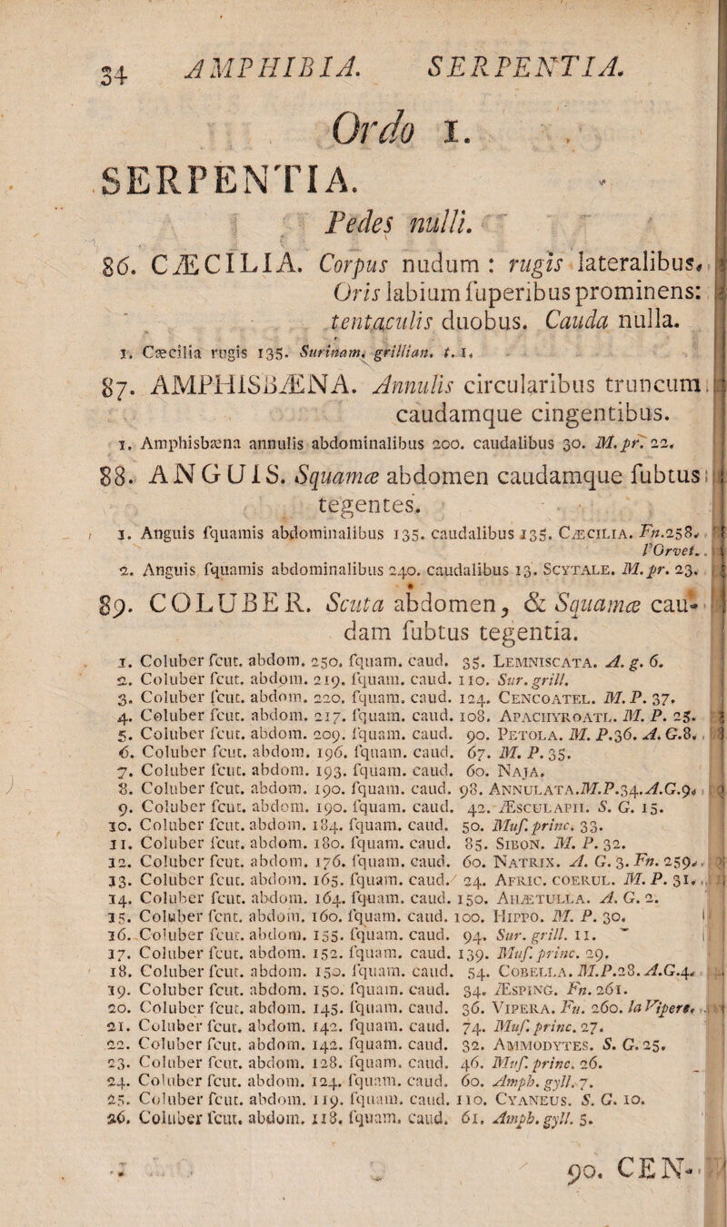 Ordo i. SERPENTIA. Pedes nulli. ' 9 f < v l 86. CAECILIA. Corpus nudum: rggA lateralibus# Oris labium fuperibus prominens: tentacuUs duobus. Cauda nulla. j. Caecilia rogis 135. Suri nam. grilli an. t.l* 87. AMPHISBAENA. AnnuIis circularibus truncum. caudamque cingentibus. 1. Amphisbaena annulis abdominalibus 200. caudalibus 30. M.prliz. 88. ANGLJIS. Squamee abdomen caudamque fubtus tegentes. 3. Anguis fquamis abdominalibus 135. caudalibus 135. Caecilia. Fn.258. 1'Grvet... 2. Anguis fquamis abdominalibus 240. caudalibus 13. Scytale. M.pr. 23. 89. COLUBER. Scuta abdomen^ & Squamee cau* dam fubtus tegentia. 1. Coluber fcut. abdom. 250. fquam. caud. 35. Lemniscata. A. g. 6. 2. Coluber fcut. abdom. 219. fquam. caud. 110. Sur.gril/. 3. Coluber fcut. abdom. 220. fquam. caud. 124. Cencoatel. M.P. 37. 4. Coluber fcut. abdom. 217. fquam. caud. 108. Apaciiyroatl. M. P. 25. 5. Coluber fcut. abdom. 209. fquam. caud. 90. Petola. M. P.36. A.G.8. 6. Coluber fcut. abdom. 196. fquam. caud. 67. M. P. 35. 7. Coluber fcut. abdom. 193. fquam. caud. 60. Naja. 3. Coluber fcut. abdom. 190. fquam. caud. 98. Annulata.M.P.34.^.G.9< 9. Coluber fcut. abdom. 190. fquam. caud. 42. /Esculapii. S. G. 15. 10. Coluber fcut. abdom. 184. fquam. caud. 50. Muf.prine. 33. 11. Coluber fcut. abdom. 180. fquam. caud. 85. Sibon. M. P. 32. 32. Coluber fcut. abdom. 176. fquam. caud. 60. Natrix. A. G. 3.Fn. 259. 33. Coluber fcut. abdom. 165. fquam. caud/ 24. Afric. coep^ul. M. P. 31., 34. Coluber fcut. abdom. 164. fquam. caud. 150. Aiuetulla. A. G. 2. 35. Coluber fent. abdom. 160. fquam. caud. 100. Hippo. M. P. 30. 16. Coluber fcut. abdom. 155. fquam. caud. 94. Sur. grill. 11. ” i| 37. Coluber fcut. abdom. 152. fquam. caud. 139. Muf. prine. 29. 18. Coluber fcut. abdom. 150. fquam. caud. 54. Cobella. M.P.iS.A.G.^* 39. Coluber fcut. abdom. 150. fquam. caud. 34. ZEsping. Fn. 261. 20. Coluber fcut. abdom. 145. fquam. caud. 36. Vipera. Fn. 260. laVipere, J 21. Coluber fcut. abdom. 142. fquam. caud. 74. Muf. prine. 27. 22. Coluber fcut. abdom. 142. fquam. caud. 32. Ammodytes. S. G. 25. 23. Coluber fcut. abdom. 128. fquam. caud. 46. Muf.prine. 26. 24. Coluber fcut. abdom. 124. fquam. caud. 60. Amph.gytl. 7. 25. Coluber fcut. abdom. 119. fquam. caud. 110. Cyaneus. 5. G. 10. 26. Coluber fcut. abdom. 118. fquam. caud. 61. Ampb. gy!I. 5. -i I 1 d 90. CEN-* <