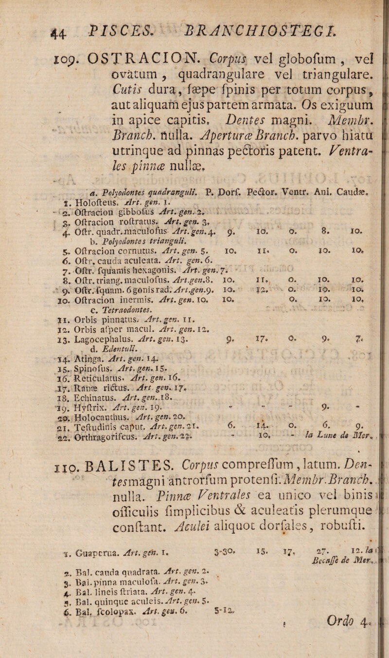 PISCES. BRANCHIOSTEGL 34 iop. OSTRACION. Corpus vel globofum , vel ovatum 9 quadrangulare vel triangulare. Cutis dura, faepe fpinis per totum corpus, aut aliquam ejus partem armata. Os exiguum in apice capitis, Dentes magni. Membv. Branch. nulla. AperturaBranch. parvo hiatu utrinque ad pinnas pedtoris patent. Ventra¬ les pinna nullae. a. Polyodontes quadranguli. P. Dorf. Pe<ftor. Ventr. Ani. Caudae 1. Holofteus. Art. gen. j. 2. Oftracion gibbolus Art. gen. 2. 3. Oftracion roftratus. Art. gen. 3, 4. Oftr. quadr.maculofus Art.gen,4. 9* IO. 0. 8. 10. b. Polyodontes trianguli. 5. Oftracion cornutus, £<?». 5- <5. Oftr. cauda aculeata. Art. gen. 6. IO. ii. 0. 20. 10, 7. Oftr. fquamis hexagonis. Art. gen. 7. 8. Oftr.triang.maculofus. Art.gen.8. IO. 11. 0. IO. 10. 9. Oftr. fquaro. 6gonisrad.yfr*.g<?«.9. IO. 12. 0. IO. IO. io. Oftracion inermis. Art. gen. 10. IO. 0. 10. 10, C. Tetraodontes. ’■ * 1 p' II. Orbis pinnatus. Art. gen. 11. ia. Orbis afper macul. Art. gen. 12. 23. Lagocephalus. Art. gen. 13. 9* 17. 0. 9. 7* d. Edentuli. * 14. Atinga. gen. 14. . < .■ Pl 25. Spinofus. vfrf. 5«». 15. 16. Reticulatus. Art, gen. 16. .17» Rause ridtus. Art. gen. 17, 28. Echinatus. Art. gen. 18. 19. Hyftrix. Art. gen. 19. 9. 20. Holocanthus. Art. gen. 20. • 21. Teftudinis caput. Art. gen. 21. 6. 14. 0. 6. 9. aa. Orthragorifcus. Art.gen.22. “ 10. “ Ia Lune de Mer up. B ALI STES. Corpus compreflum , latum. Den¬ te smagni antrorfum protenh.Membr. Branch., nulla. Pinna Ventrales ea unico vel binis ;i officulis fimplicibus & aculeatis plerumque ' condant. Aculei aliquot dorfales, robufti. %. Guapcrua. Art.gtit. i. 3~3°® I5* 17« 12. Ia Bccajje de Mer 2. Bal. cauda quadrata. 2. 3. Bal. pinna maculofa. yM. £<?». 3« 4. Bal. lineis ftriata. Art. gen. 4. 5. Bal. quinque aculeis. Art.gen. 5* 6. Bal. fcolopax. Art. gea. 6. 5**3«