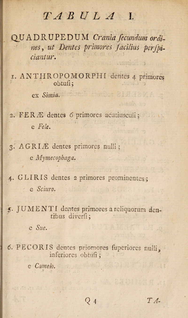 TA B U L A I. QU ADRUPEDUM Crania fecundum ordi¬ nes , ut Dentes primores facilius perfpi- dantur. 1 1, ANTHROPOMORPHI dentes 4 primores ' obtuli; i ex Simia. 2. FERiE dentes 6 primores acutiuscuii; e Fele. 3. AGRIiE dentes primores nulli ; e Mymecophaga. 1 * f '\ ■ - - •' 4. GLIRIS dentes 2 primores prominentes; e Sciuro. -5. JUMENTI dentes primores a reliquorum den¬ tibus diverfi; ■ e Sue. 6. PECORIS dentes priomores fuperiores nulli $ Inferiores obtufi; e Camelo, % L„ ' . • 1 Q 4 TA- i ■ • 1 / ■■
