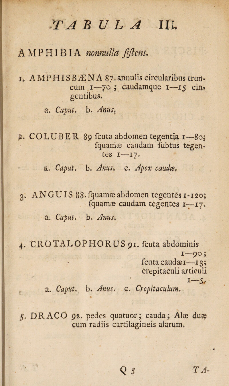 AMPHIBIA nonnulla fjlens♦ i, AMPHISBAENA 87.annulis circularibus trun¬ cum 1—70 ; caudamque 1—15 eia? gentibus. a. Caput, b. 2. COLUBER 89 lcuta abdomen tegentia 1—80: fquamae caudam fubtus tegen- tes 1—17. a. Caput. b. ■/fc/x. c. Jpex 3. ANGUIS 88-fquamaeabdomen tegentes 1-120: fquamae caudam tegentes 1—17, a. Caput. b. .^tex* 4. CROTALOPHORUS91. fcuta abdominis 1—90; fcuta caudae 1—13; crepitaculi articuli a. Caput. b* ^tex. c. Crepitaculum, 5. DRACO 92. pedes quatuor; cauda; Alae duae cum radiis cartilagineis alarum. 4